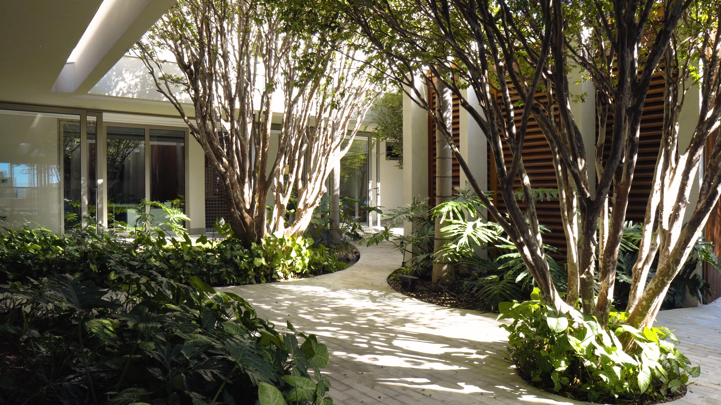 DOC TRUVIAN.00_00_02_15.Quadro096.png