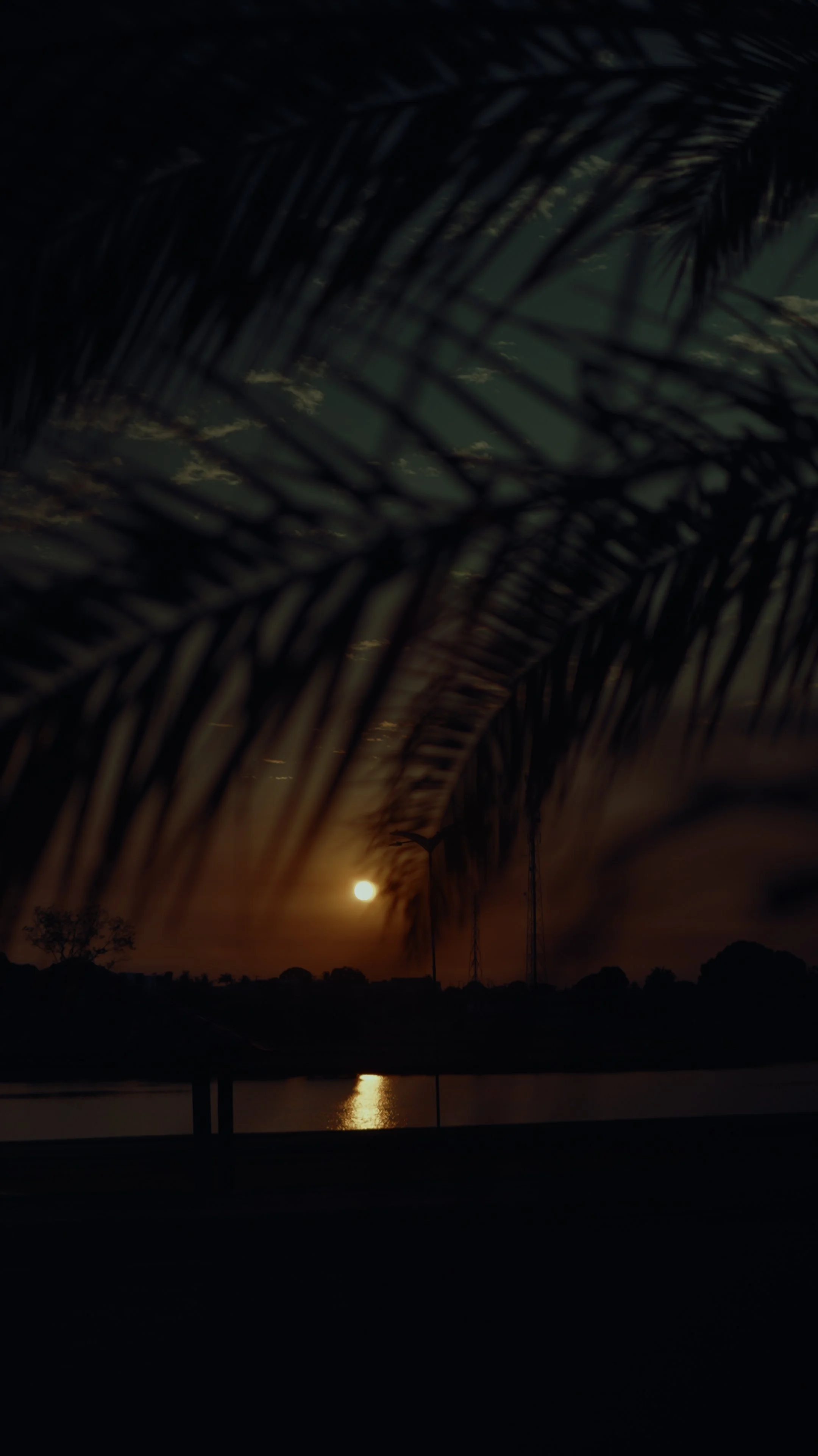 Reel 3.00_00_13_00.Quadro003.jpg