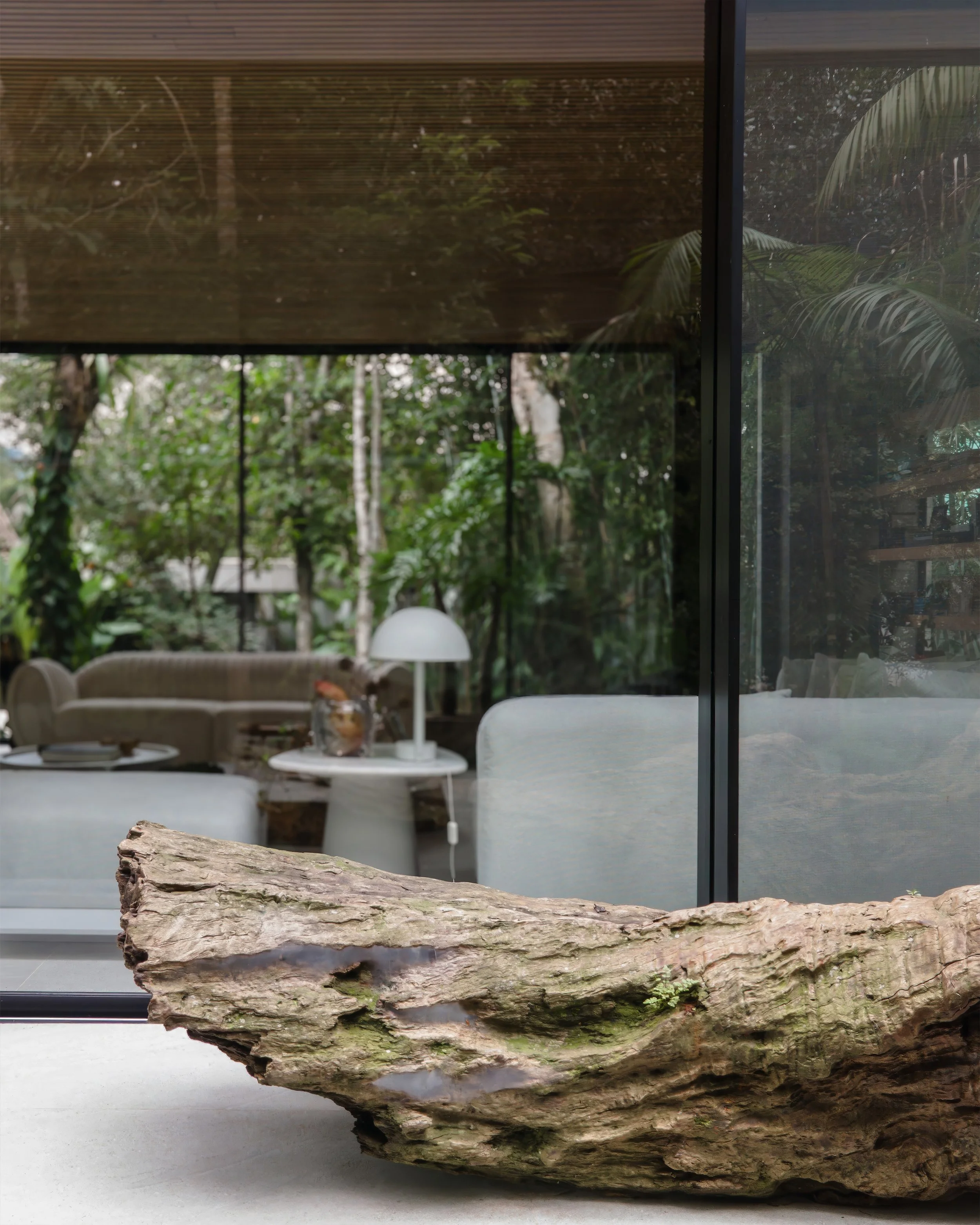 MounggdFoto-4 02ffg.12.33 copiar 2.jpg