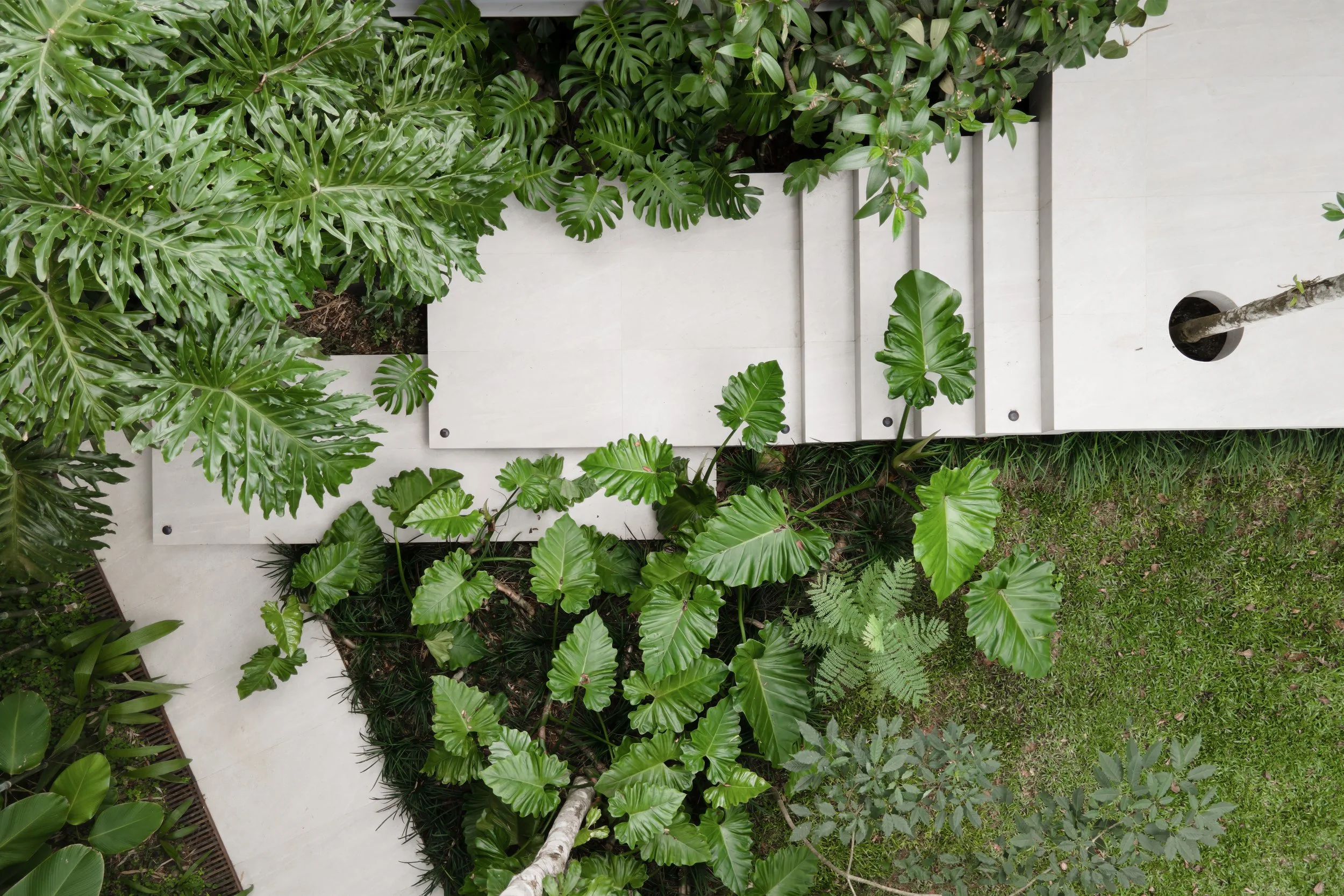 MoundFggoto-108 02.12.36 copiar.jpg