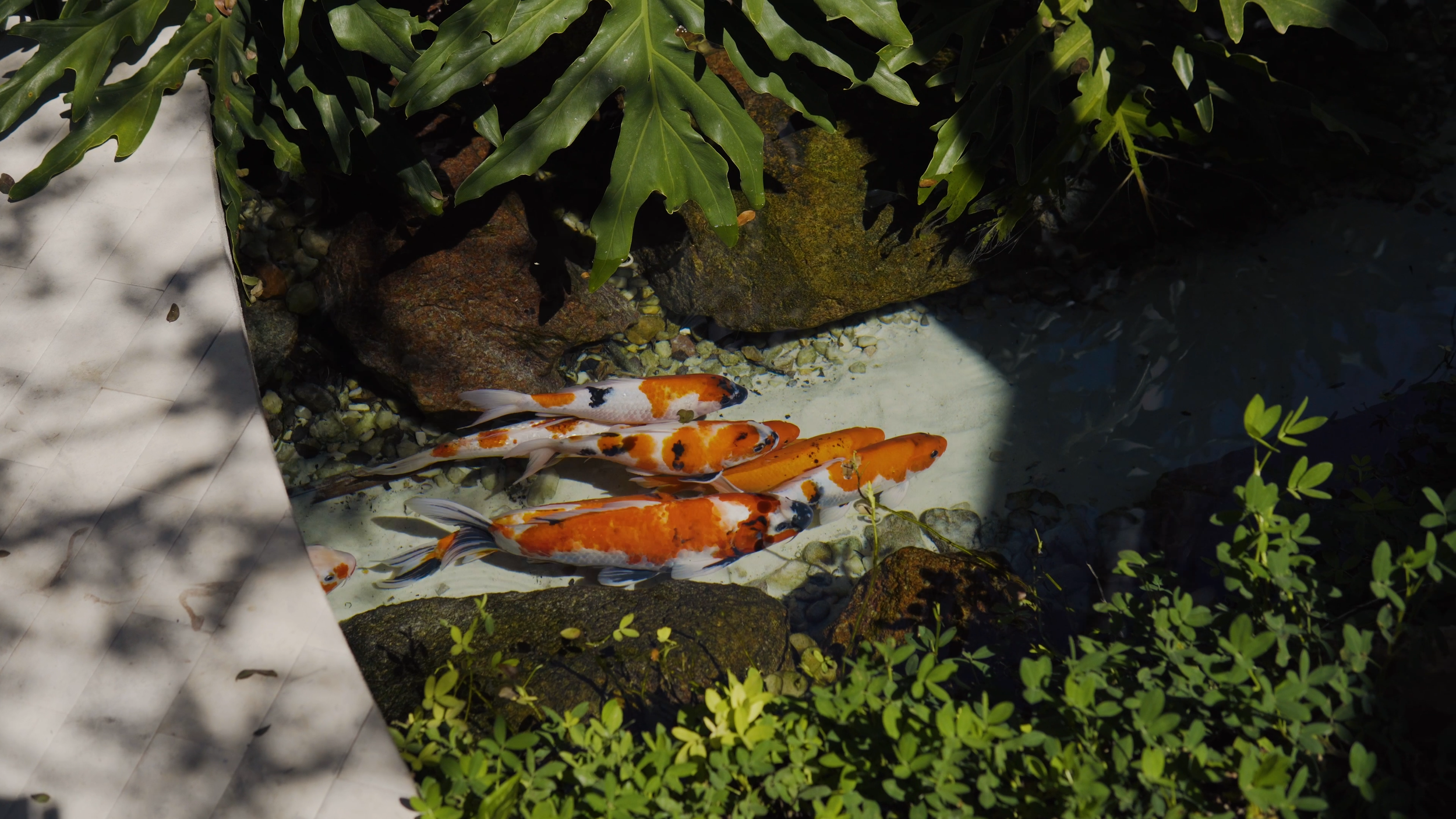 DOC TRUVIAN.00_00_05_13.Quadro097.png