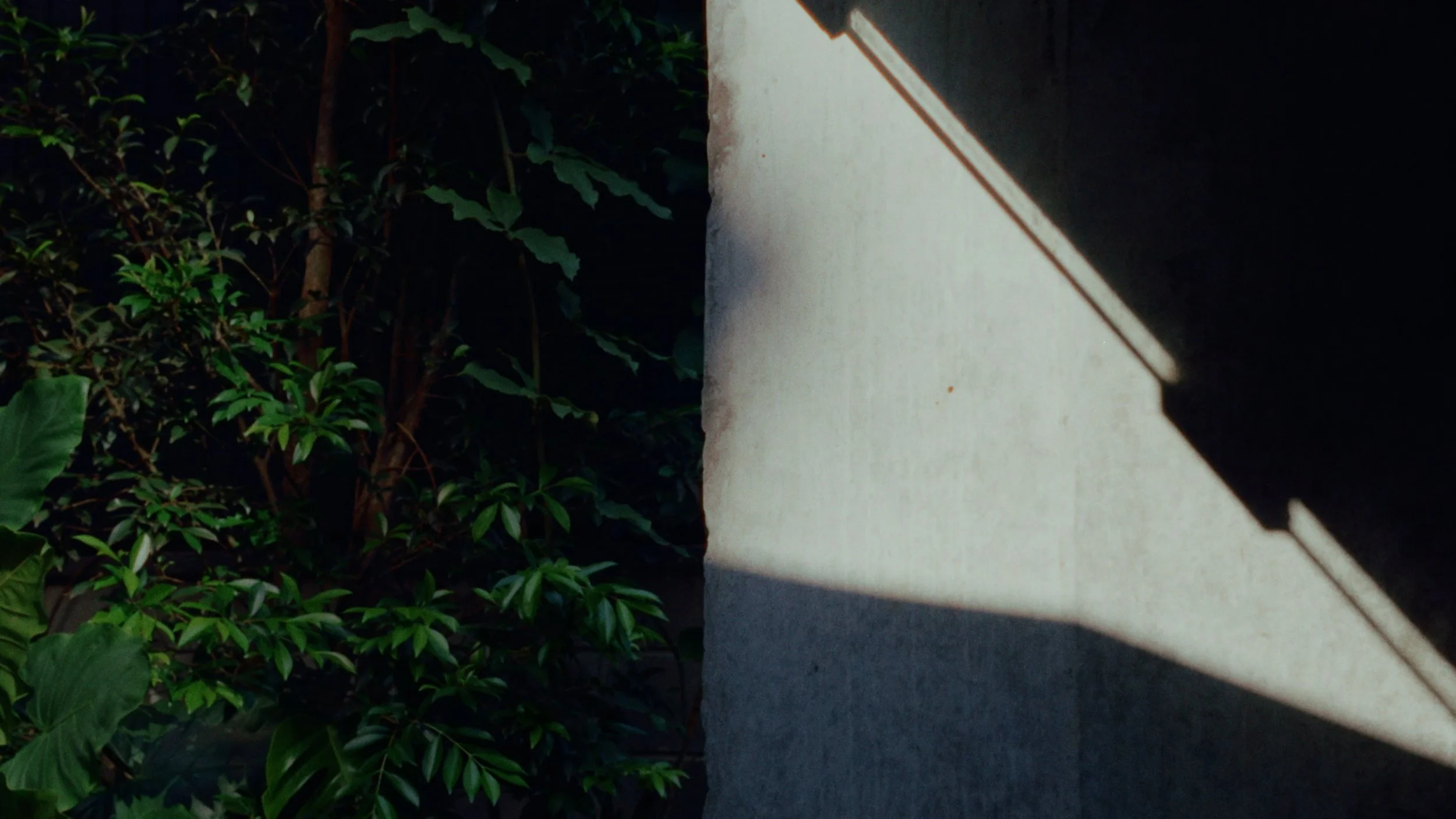 Sequência 34.00_00_30_09.Quadro011.jpg