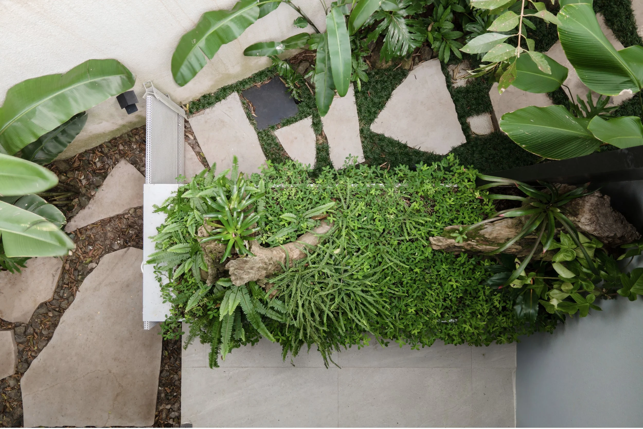 MoundFotogg-108 02.12.36 copiar.jpg