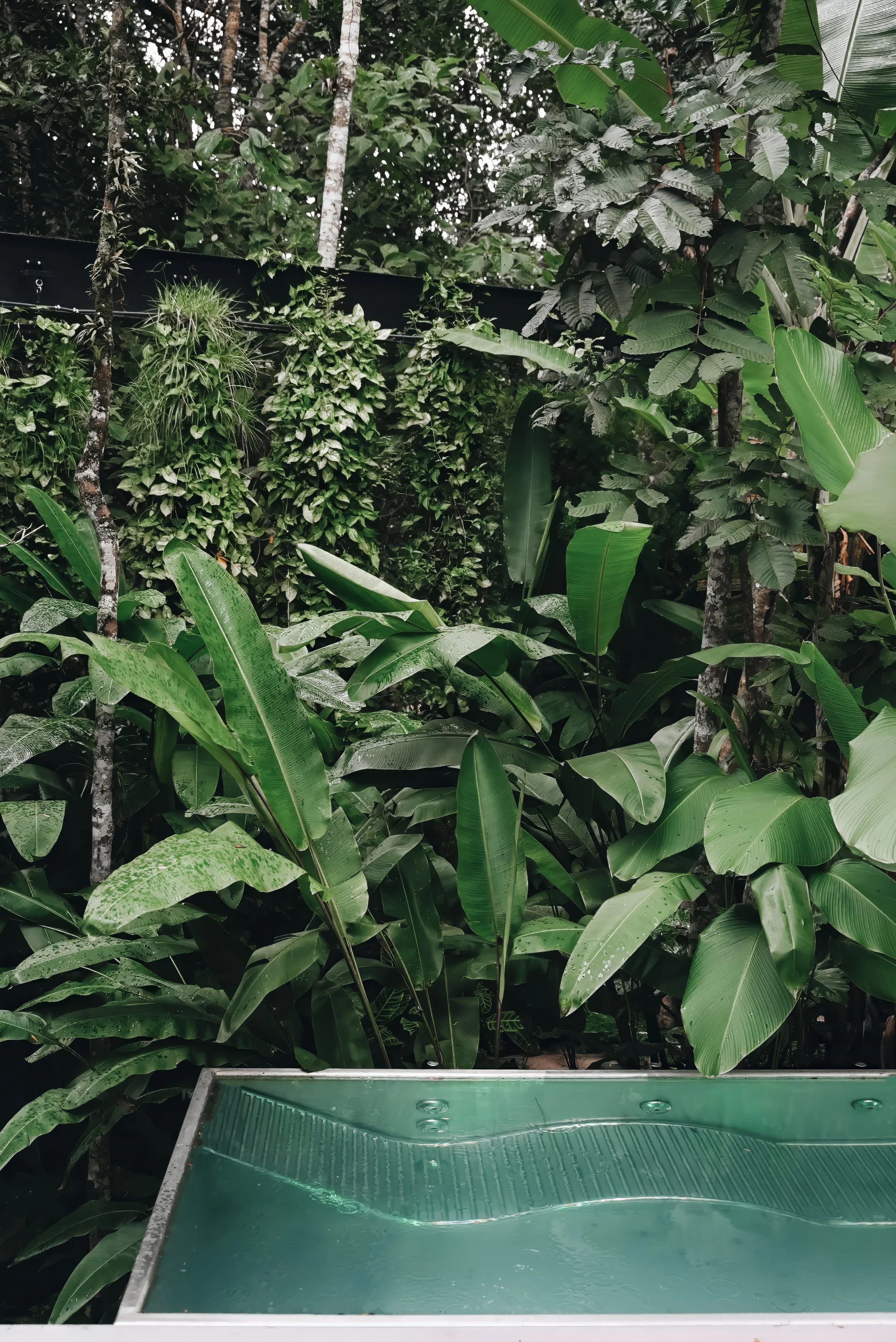 MoundFoto-61 02.12.35.jpg