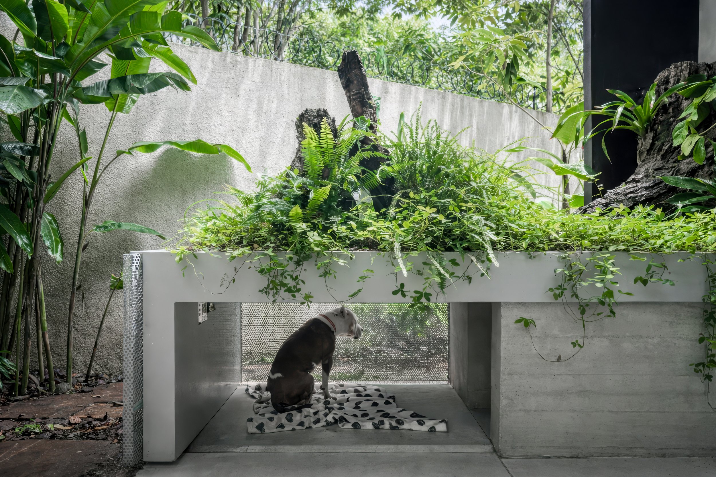 MoundFoto-103 02.12.36.jpg