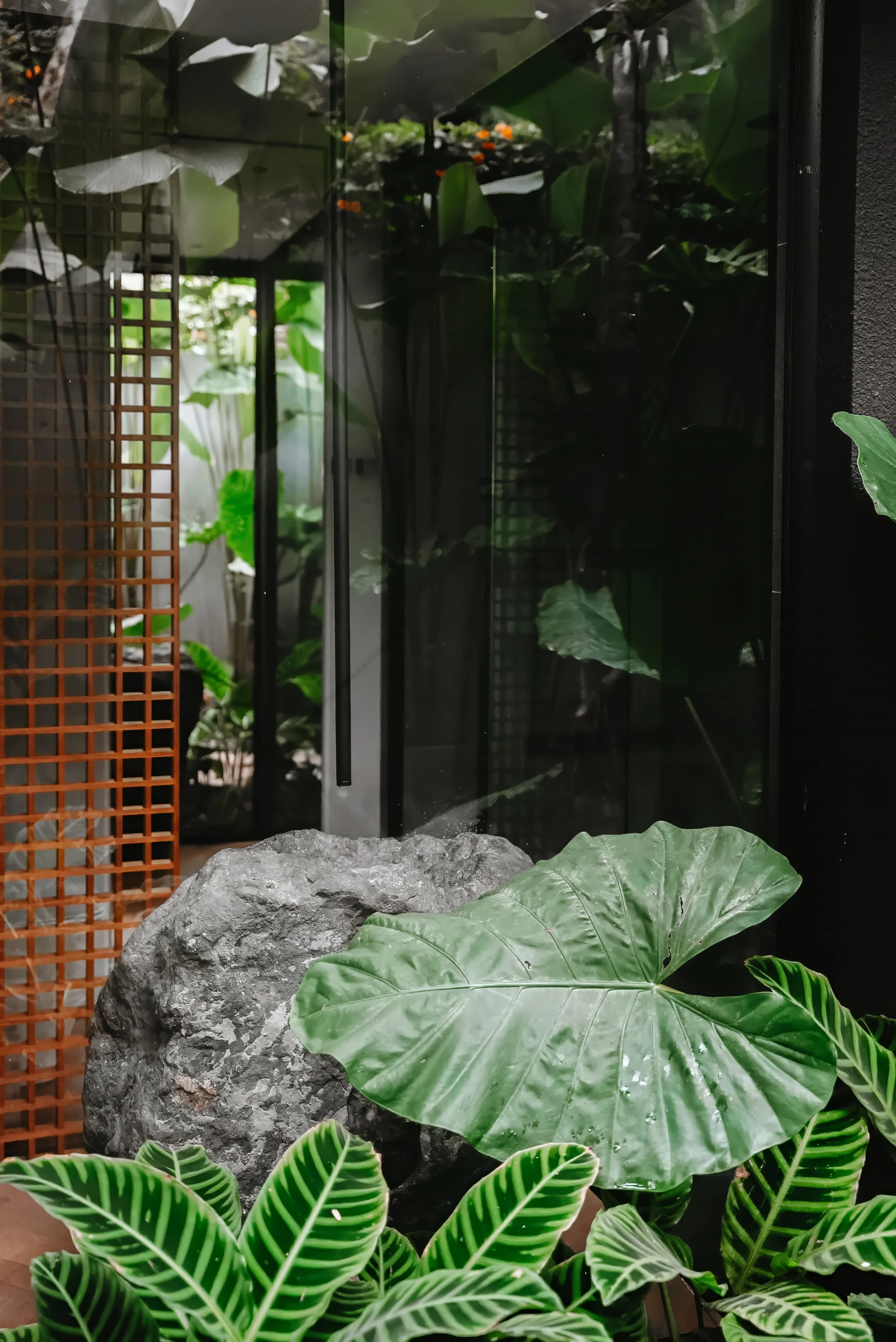 MoundFoto-70 02.12.35.jpg