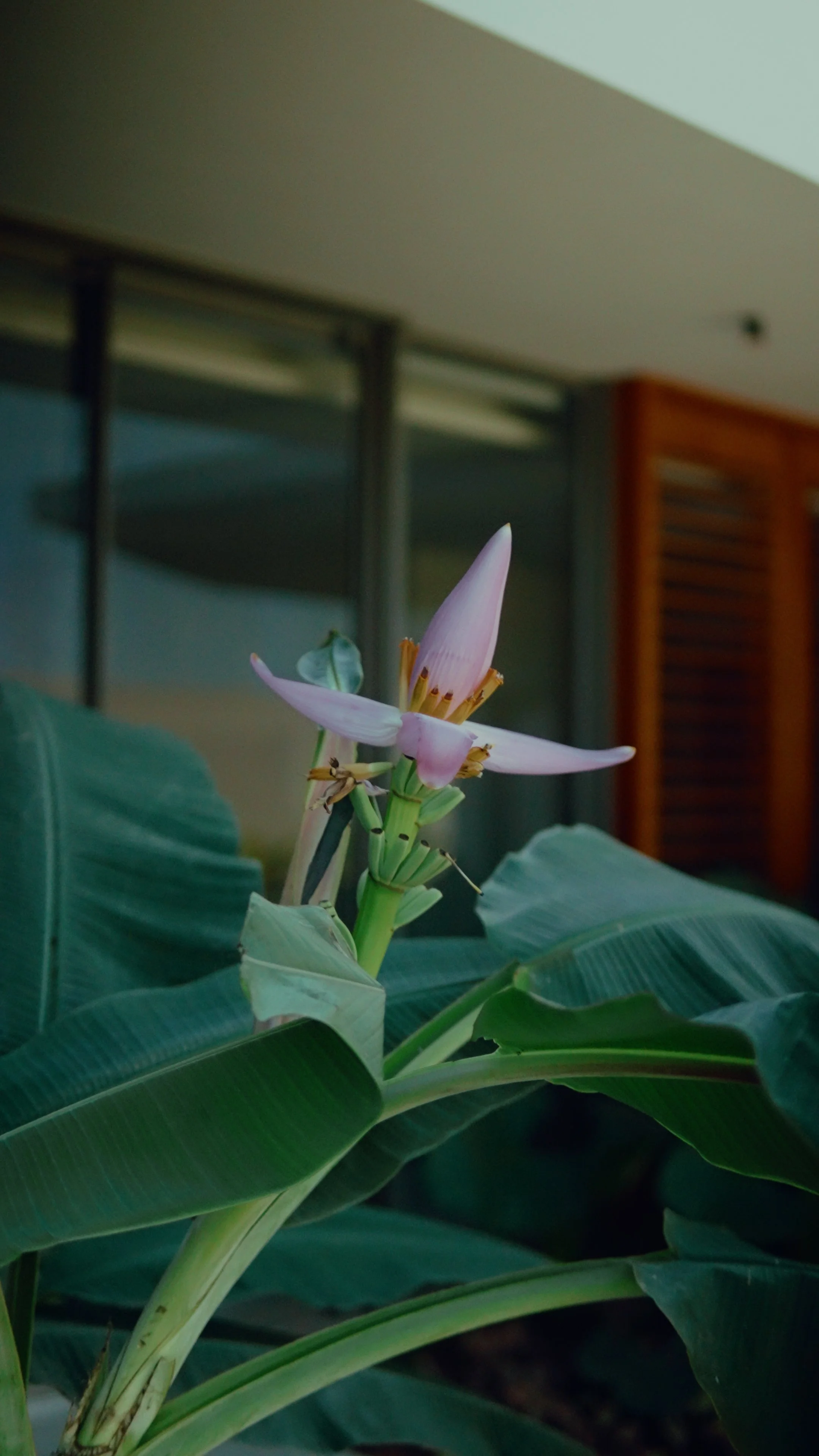 Reel 1.00_01_00_06.Quadro005.jpg