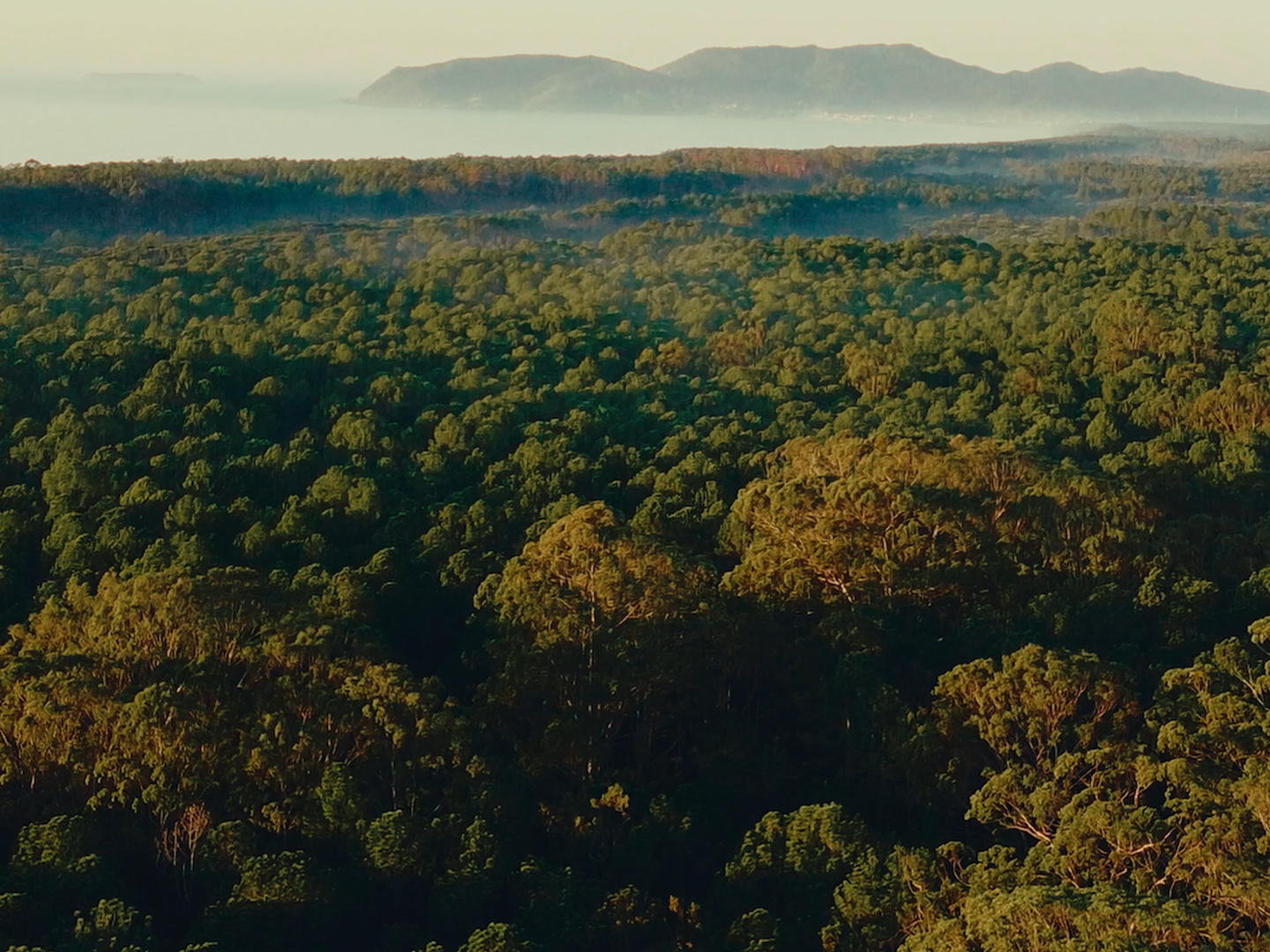 Sequência 01.00_00_27_08.Quadro004.png