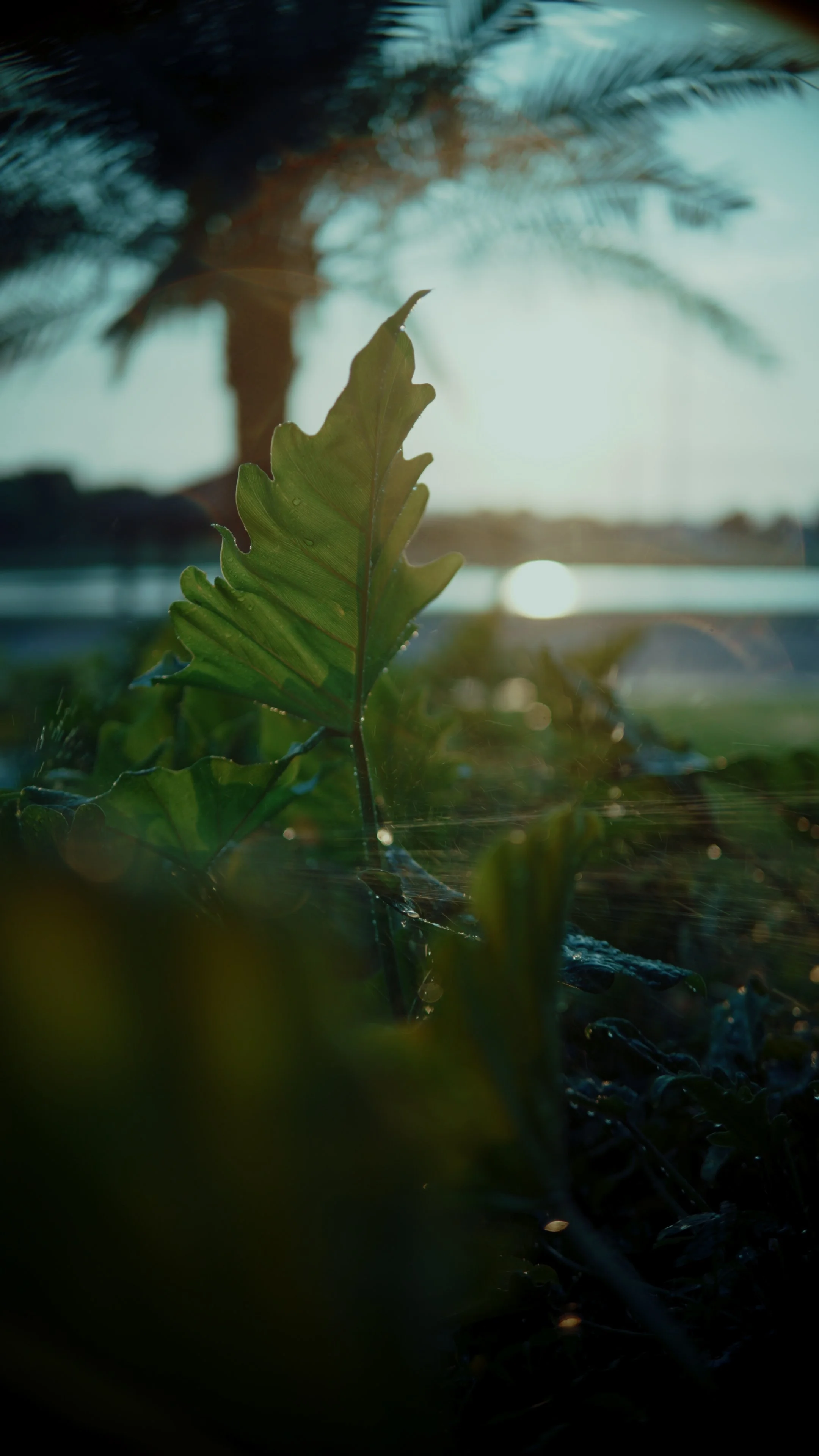 Reel 1.00_01_03_10.Quadro007.jpg