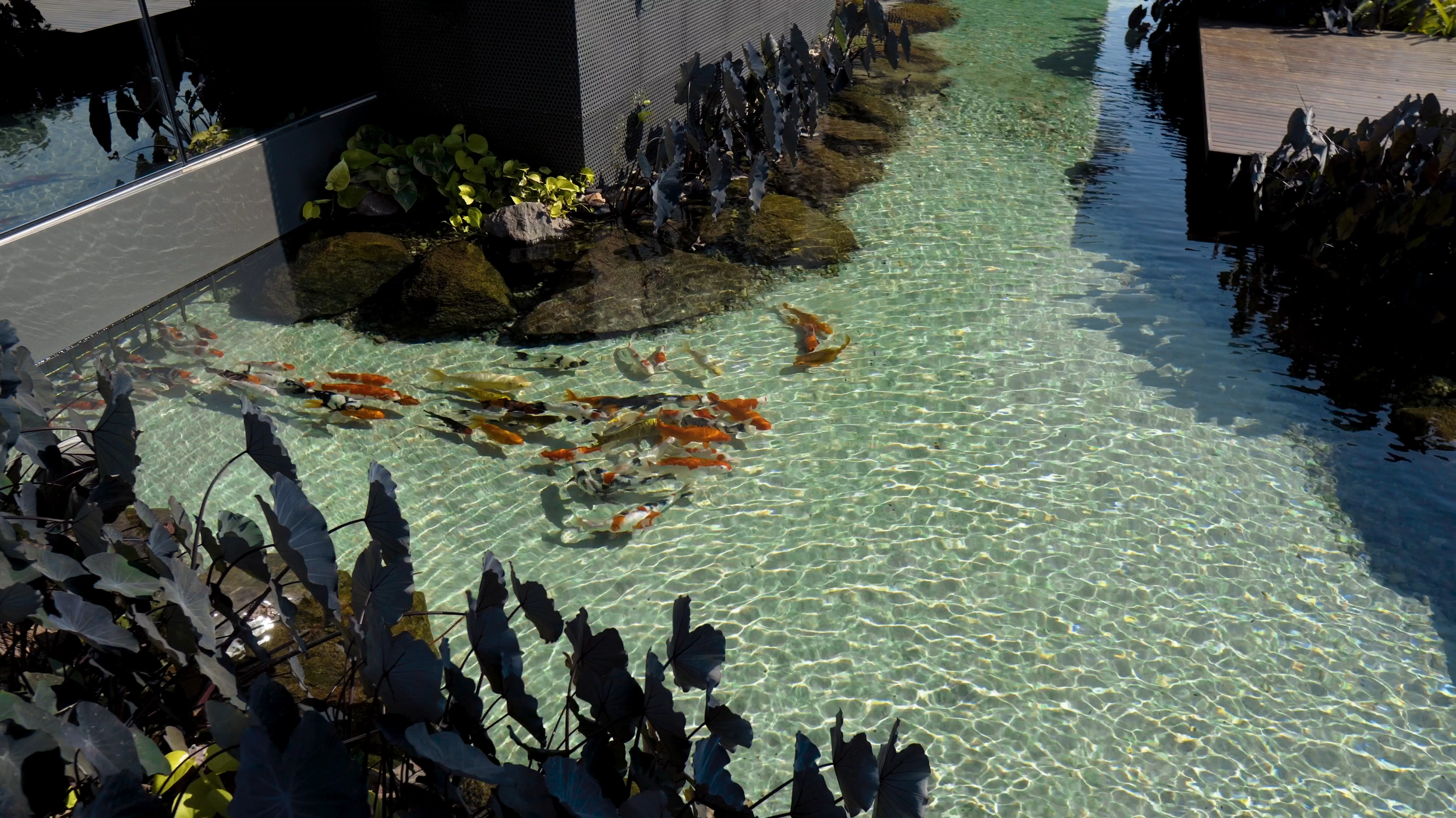 DOC TRUVIAN.00_00_36_06.Quadro092.png