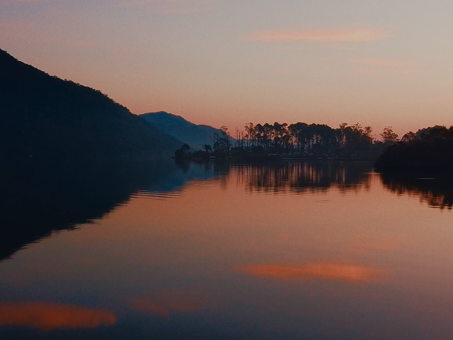 Sequência 01.00_00_40_16.Quadro006.png