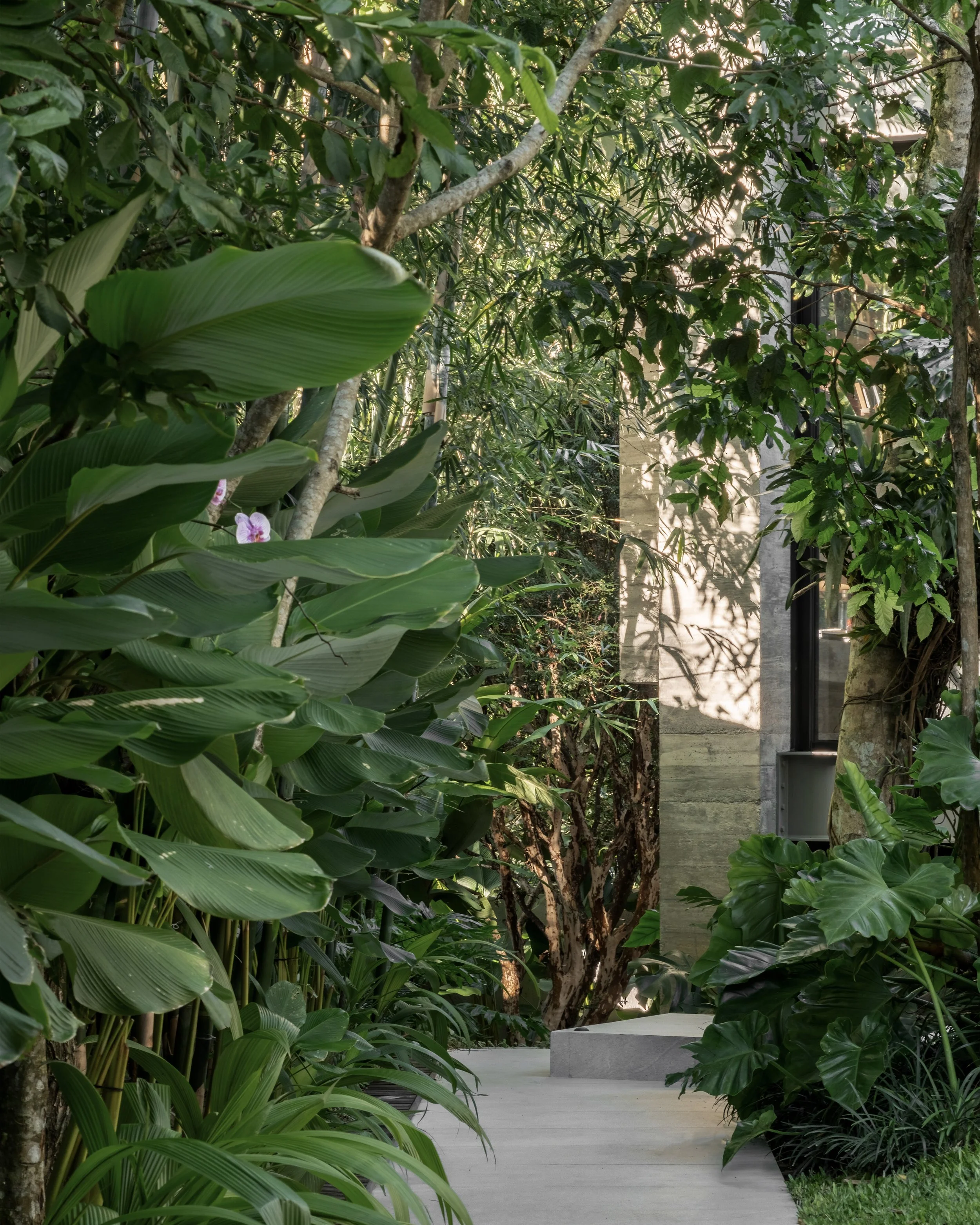 MoundFgoto-4 02.12.33 copiar.jpg