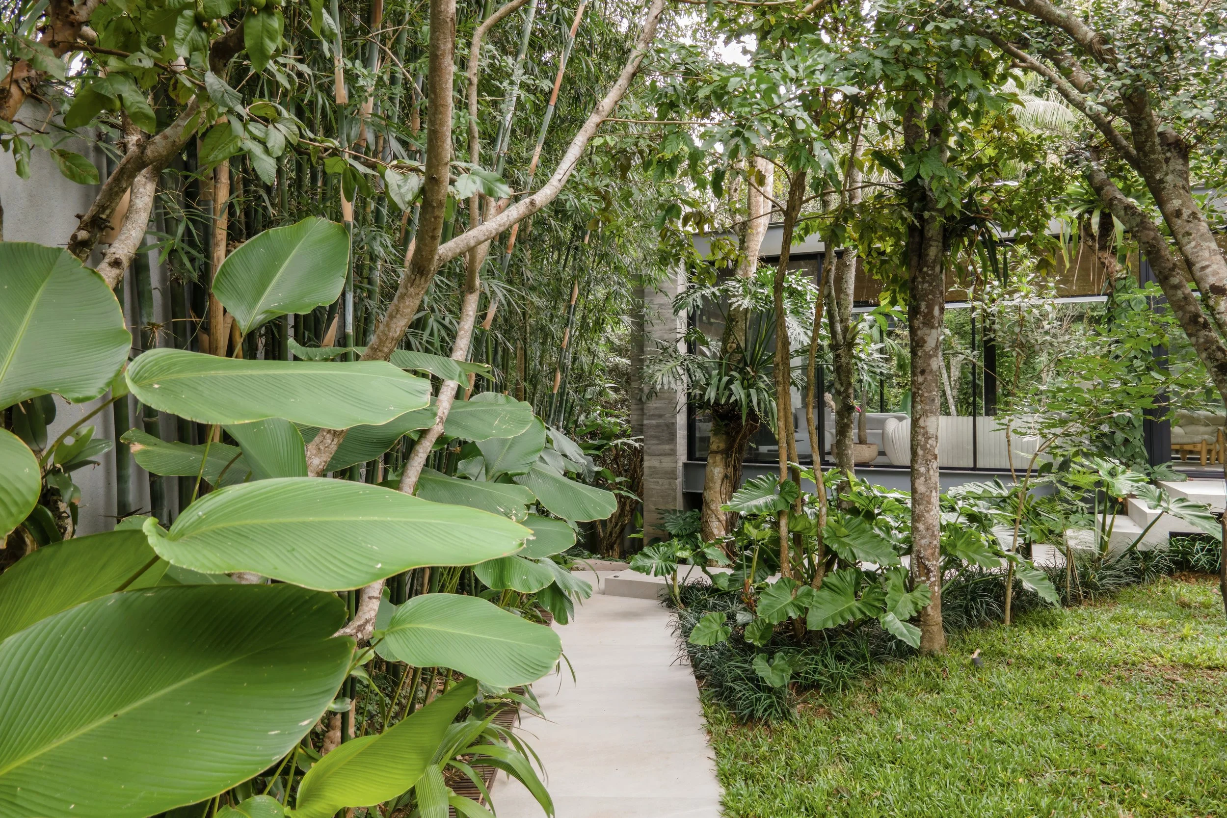 ModffundFoto-108 02.12.36 copiar.jpg