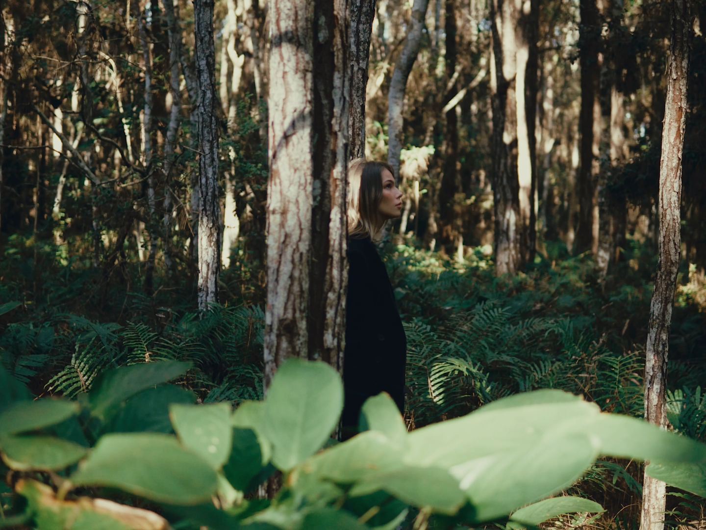 Sequência 01.00_00_29_06.Quadro005.png