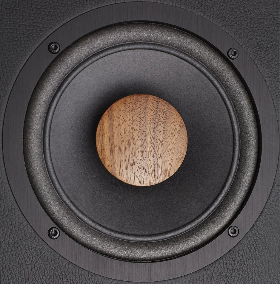 Nahaufnahme eines Lautsprechers mit Holzwandler in der Mitte und schwarzem Gehäuse.
