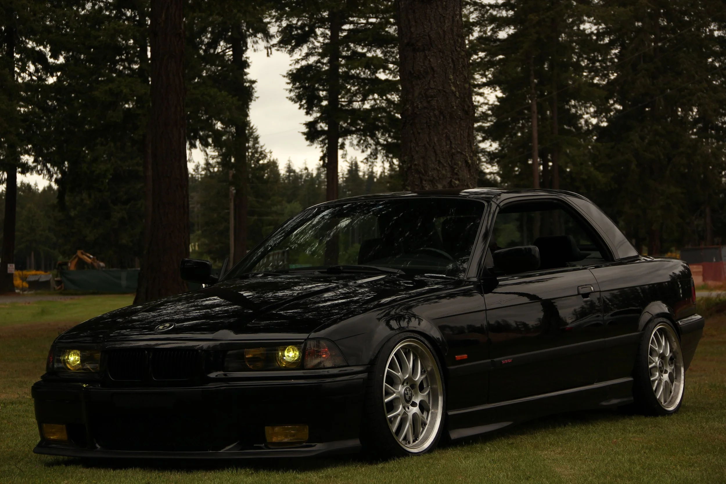 A black BMW E36 coupe parked on grass in a wooded area during daytime, with reflections of trees on the car's shiny surface.