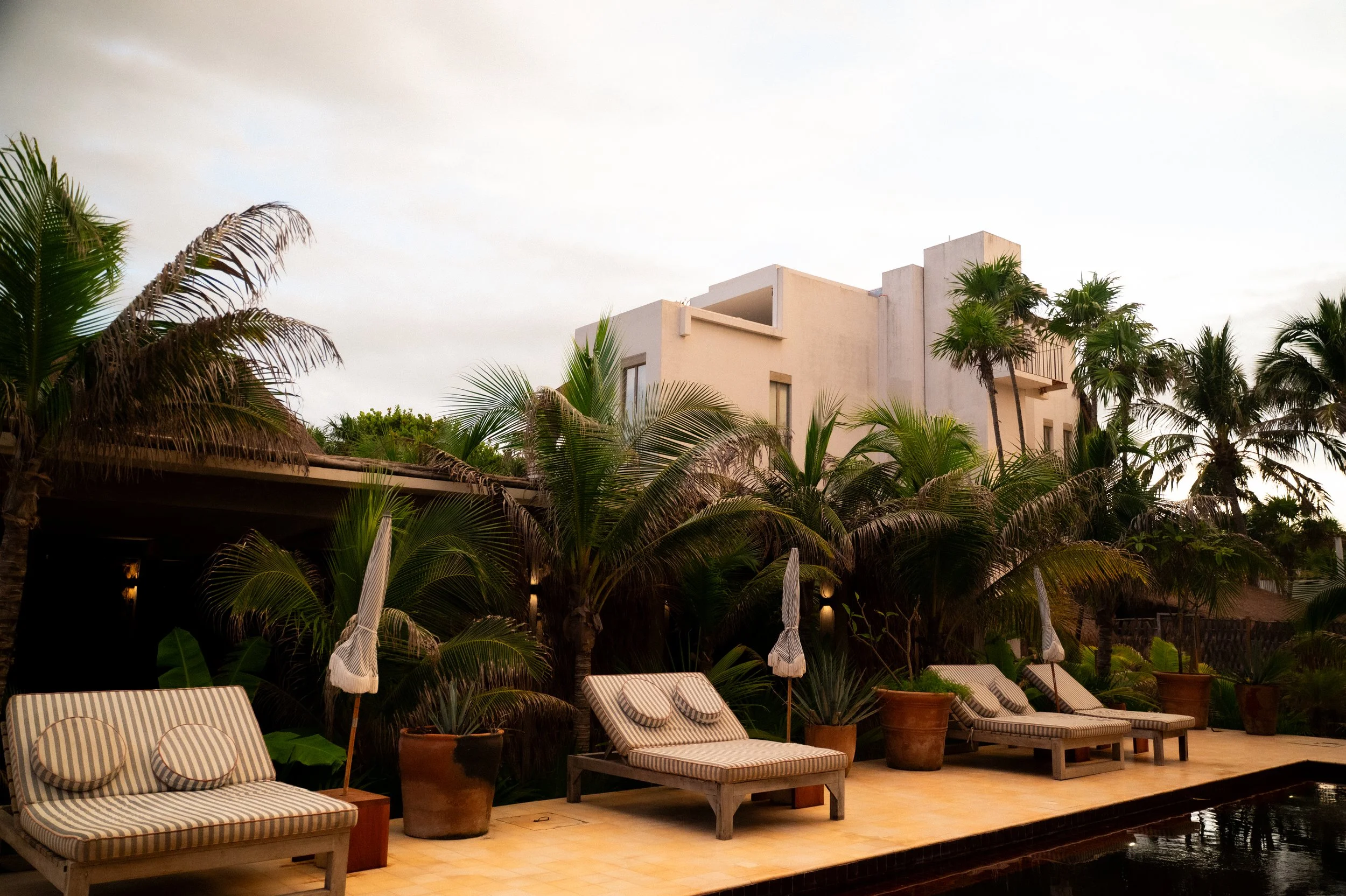 Poolside view of lounge chairs with striped cushions, potted plants, and palm trees against a modern white building in a tropical setting during dusk.