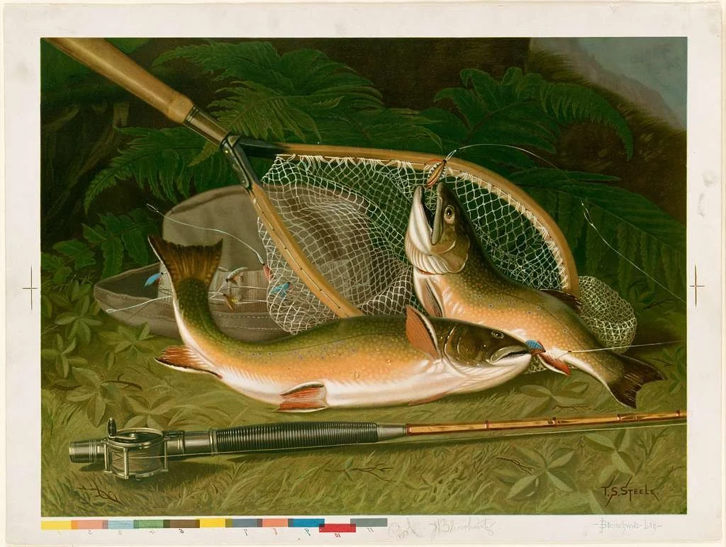 Fly Fishing Gear Rental
