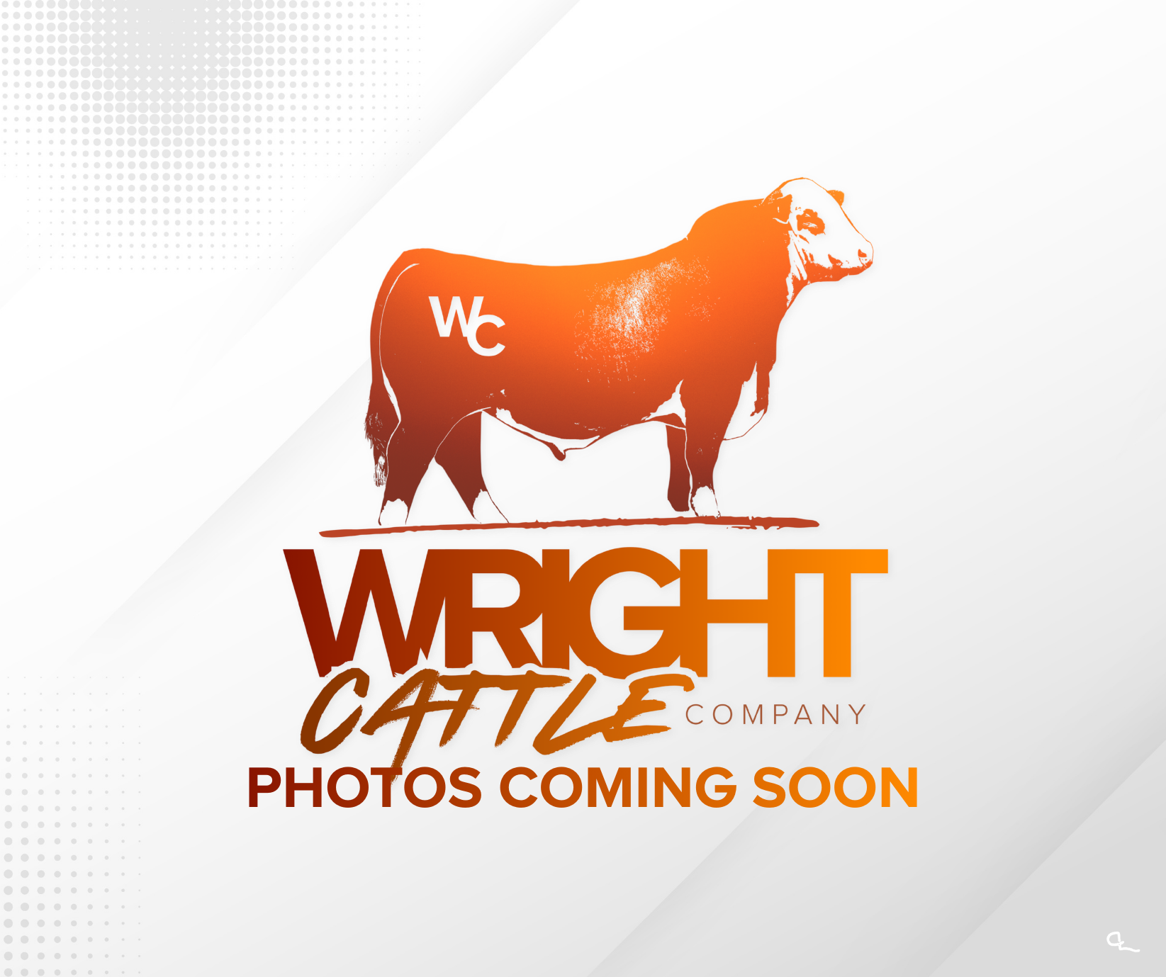 photos coming soon.png (Copy) (Copy) (Copy) (Copy) (Copy) (Copy) (Copy) (Copy) (Copy) (Copy)