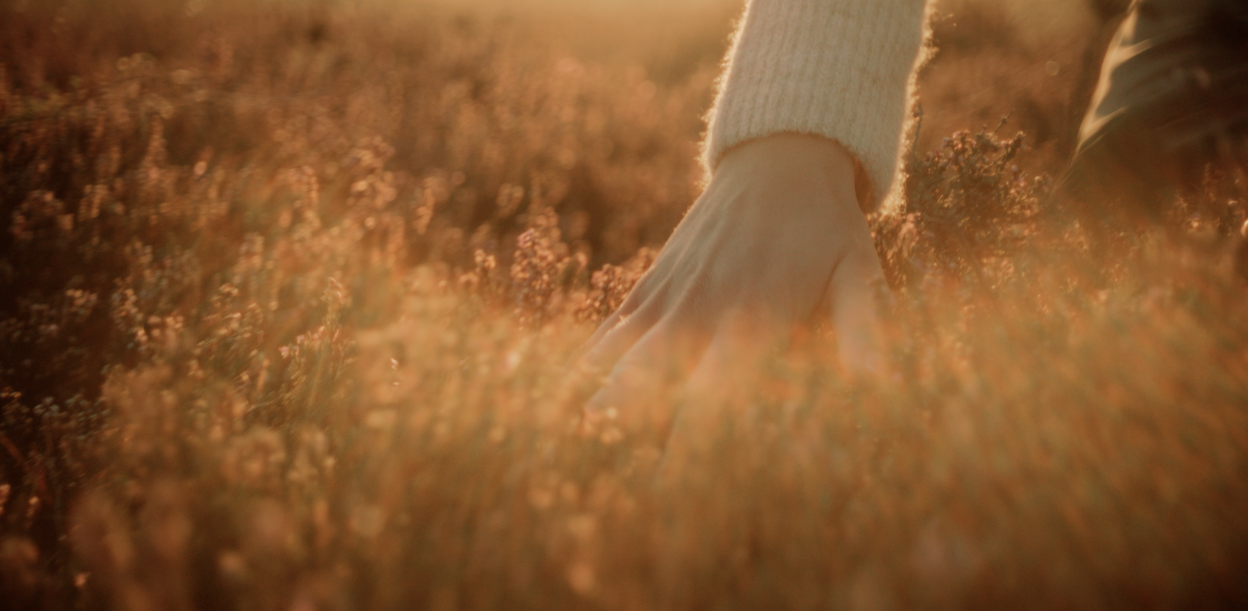 Skærmbillede 2026-04-06 kl. 23.11.14.png