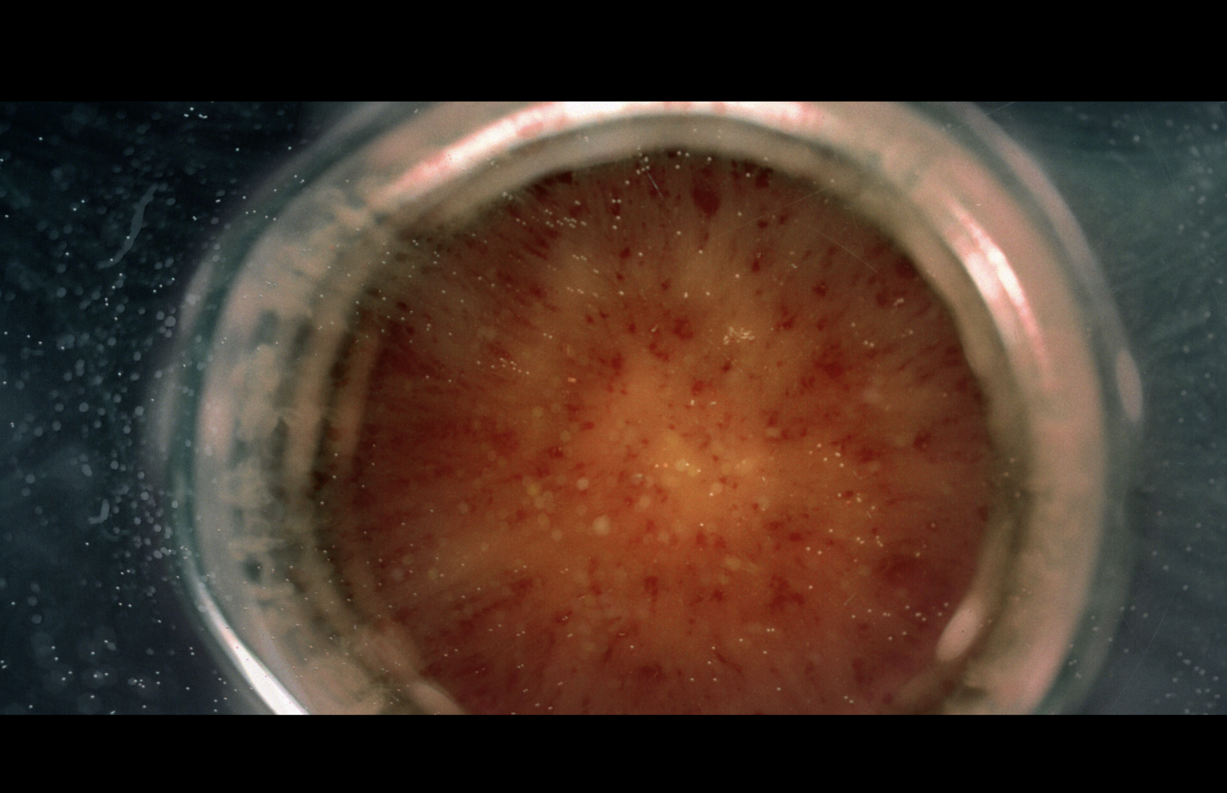 Skærmbillede 2026-04-06 kl. 17.11.37.png