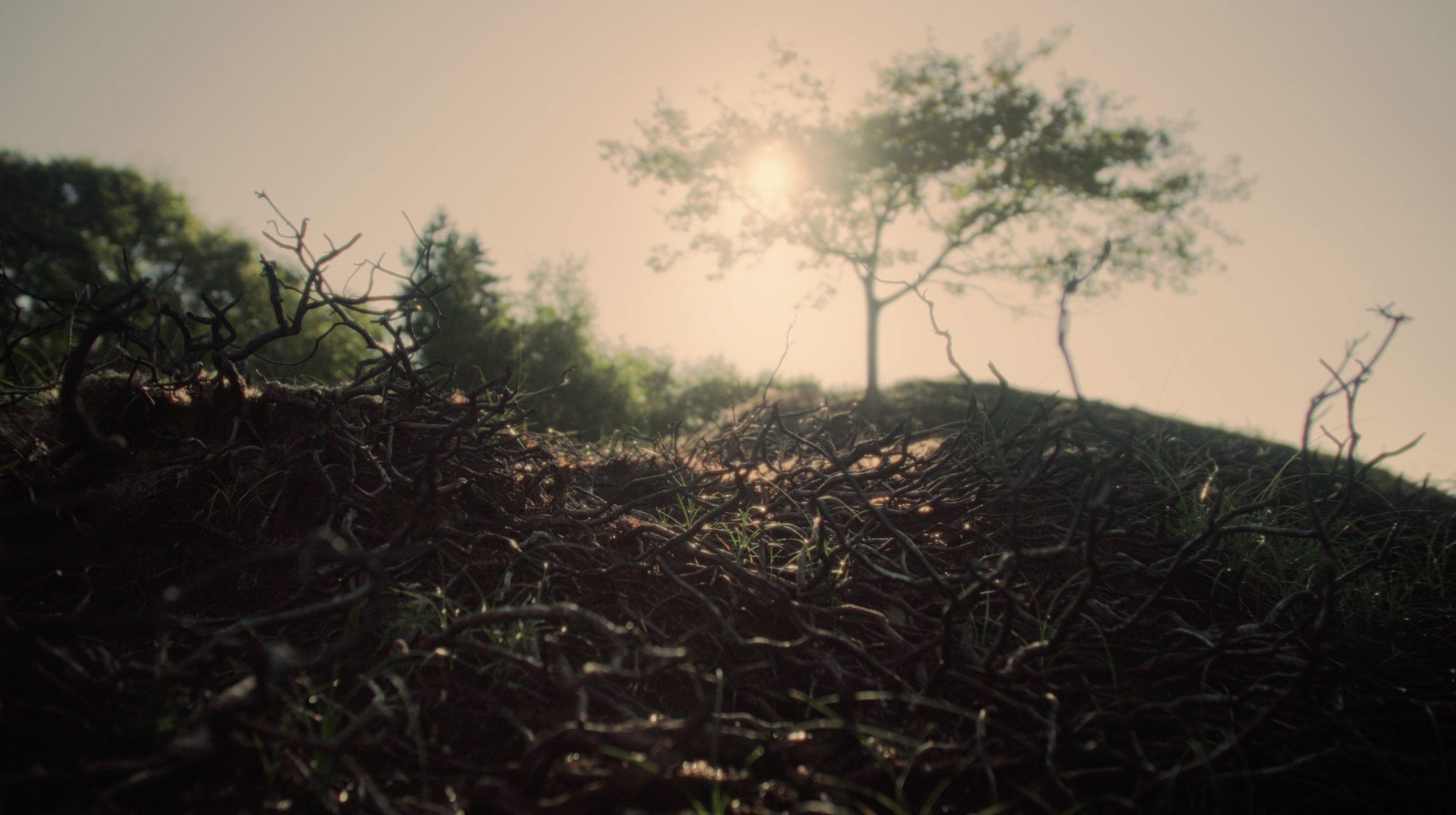 Skærmbillede 2026-04-06 kl. 23.14.44.png