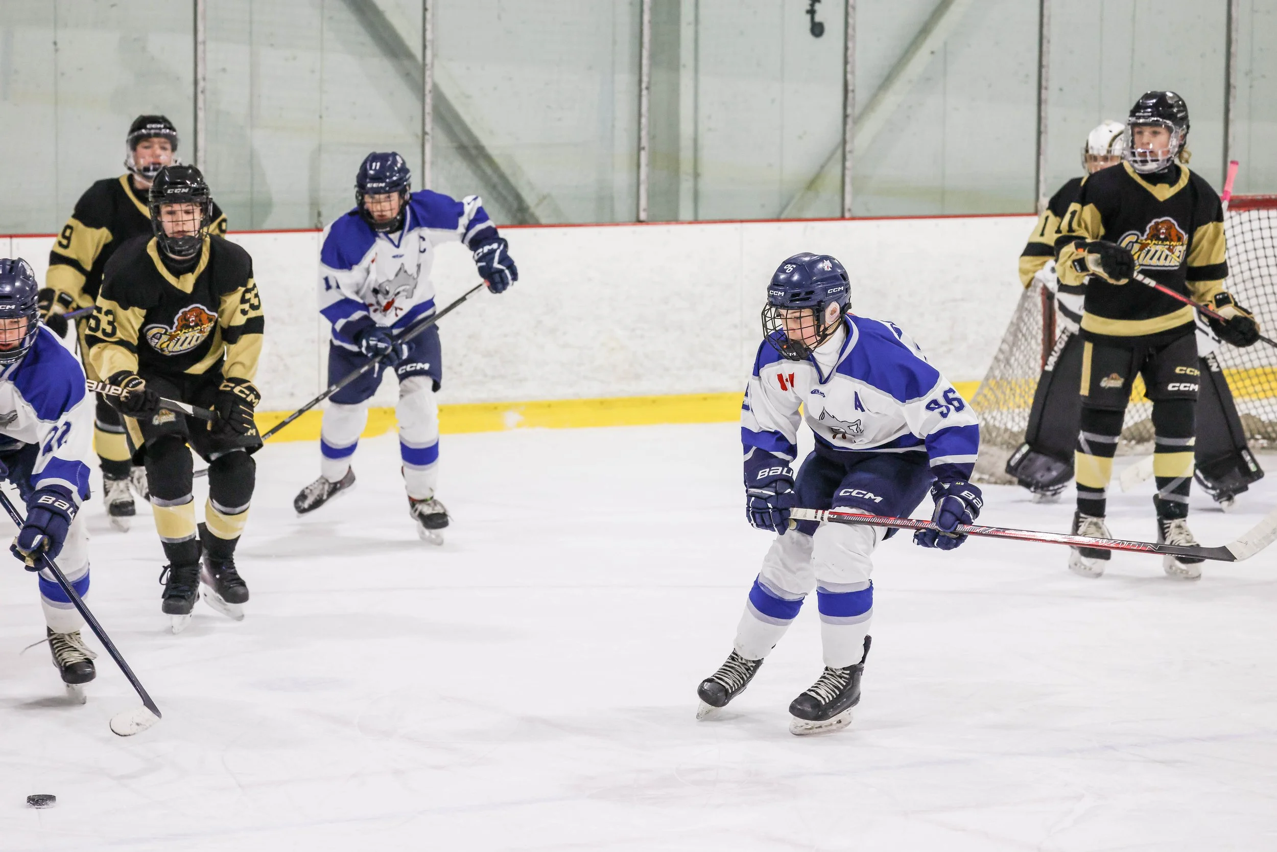 Young hockey players on ice rink during game, wearing black and yellow and blue and white uniforms, with some players facing towards the puck and others near the goal.