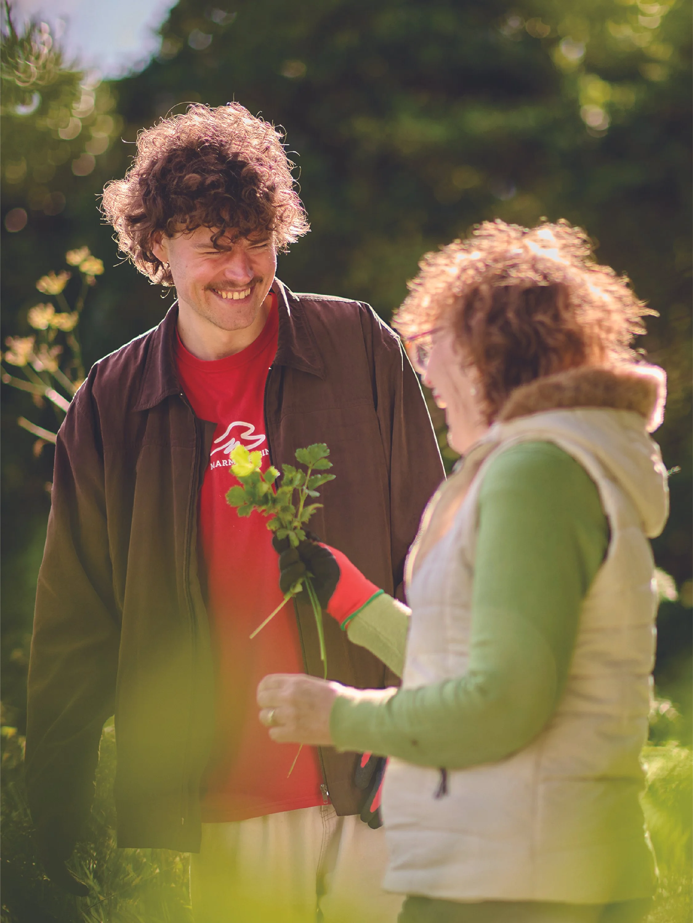 Student Job Search image library