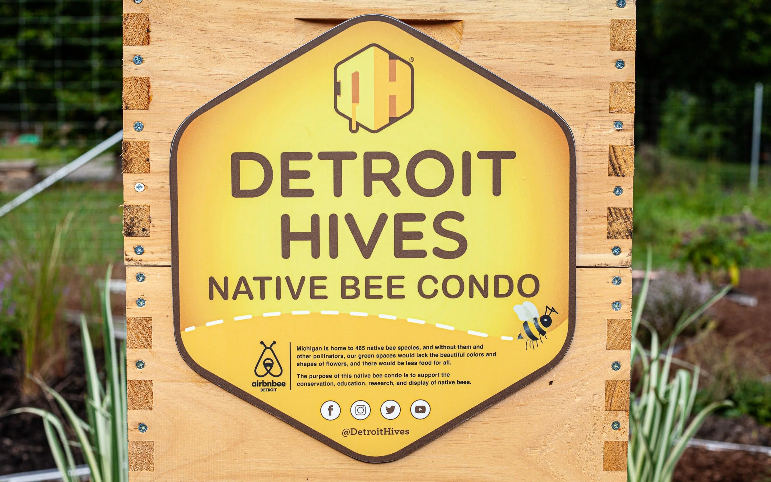 MM_DetroitHives_BeeCondo.jpg