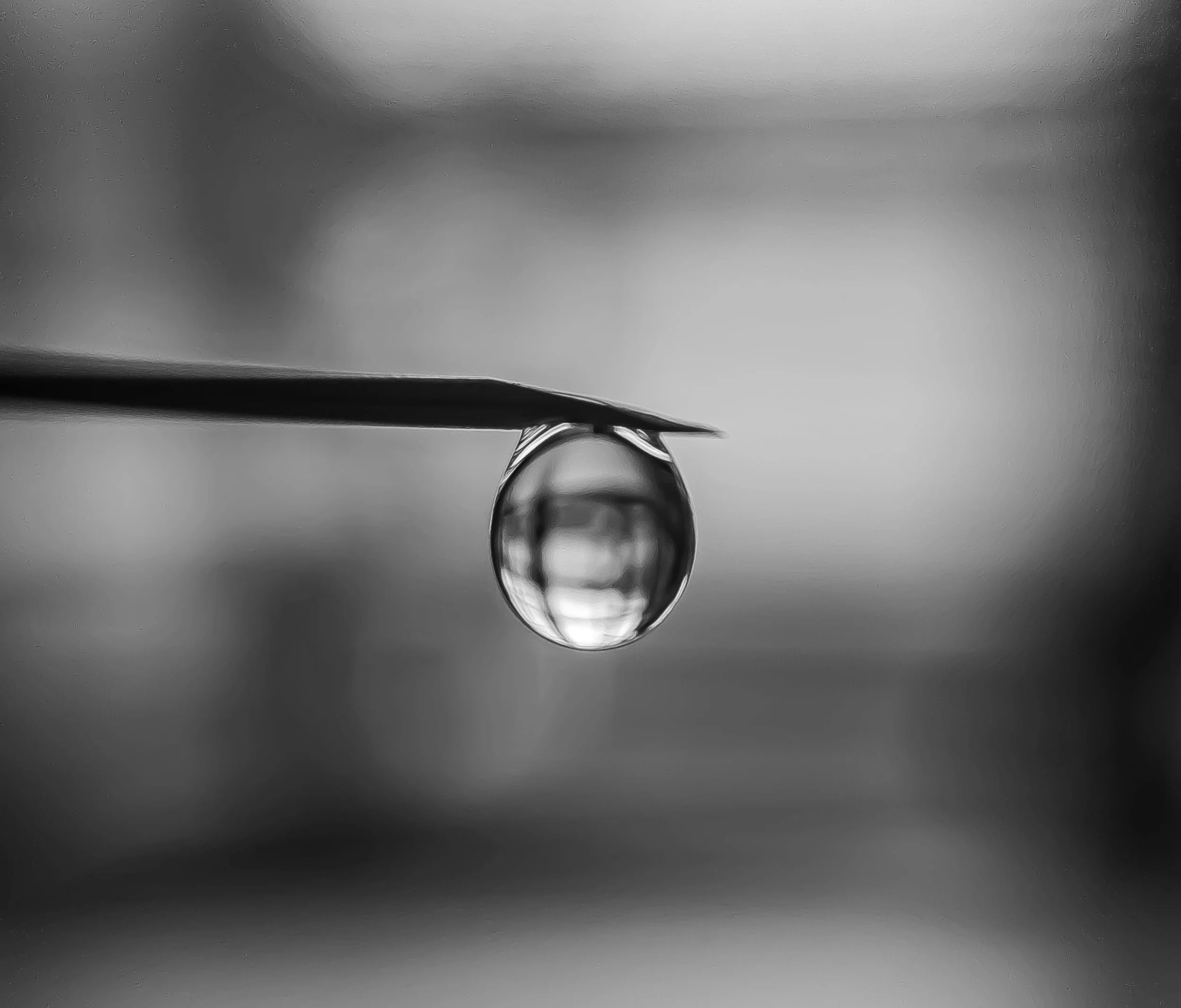 Liquid droplet in soft focus.