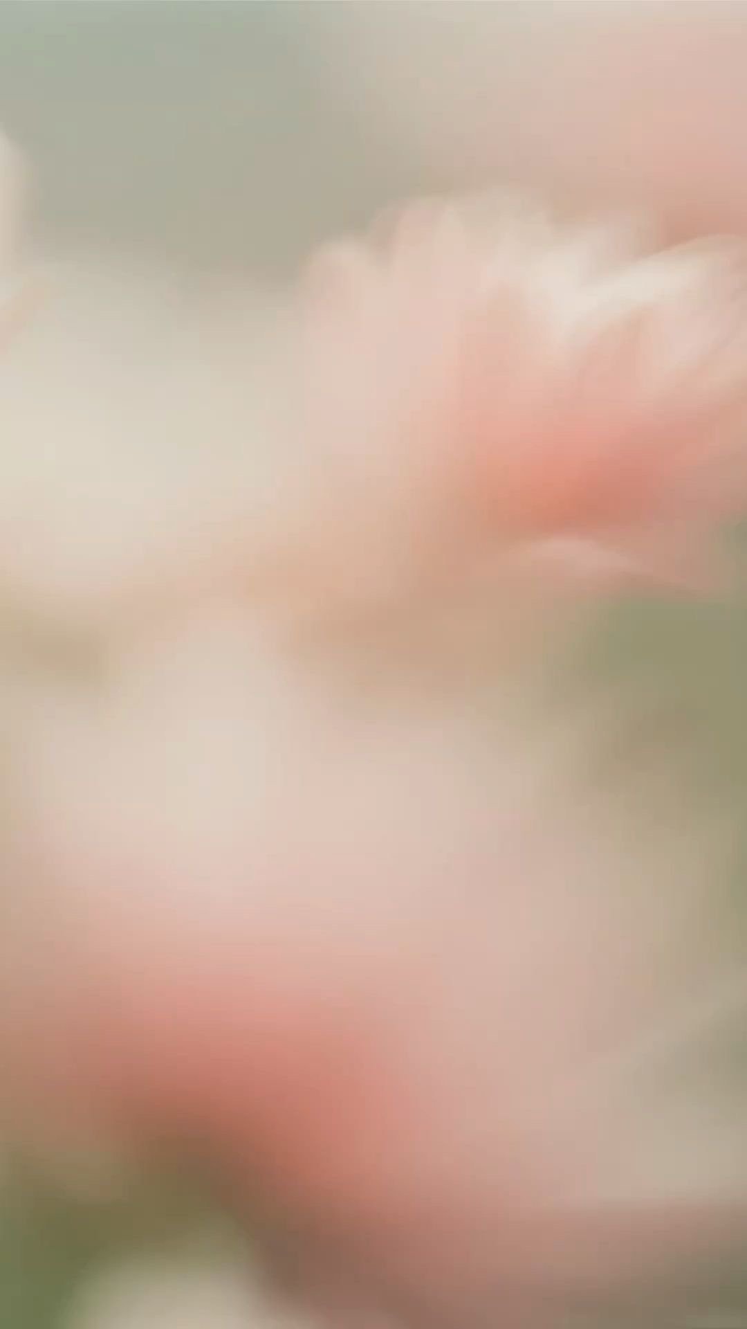 Accountability Coaching