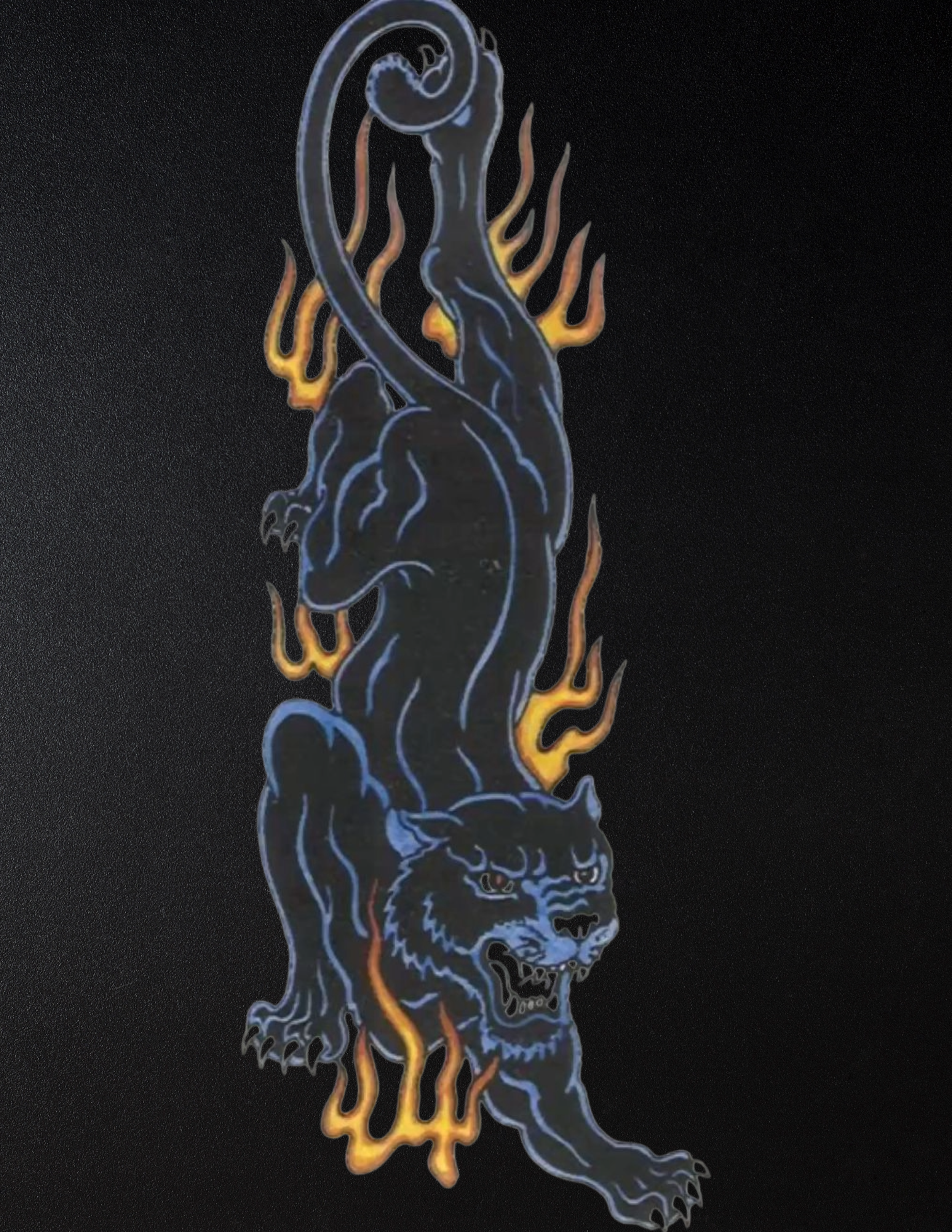 main sleeve black.png