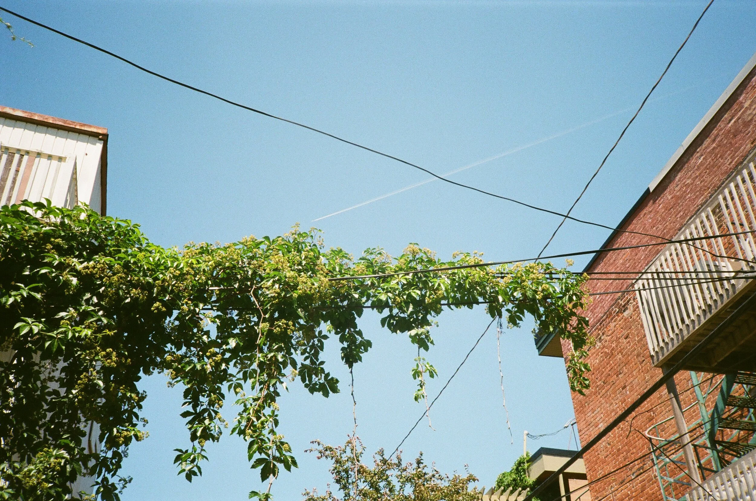 Les pas rythment le silence [solo]