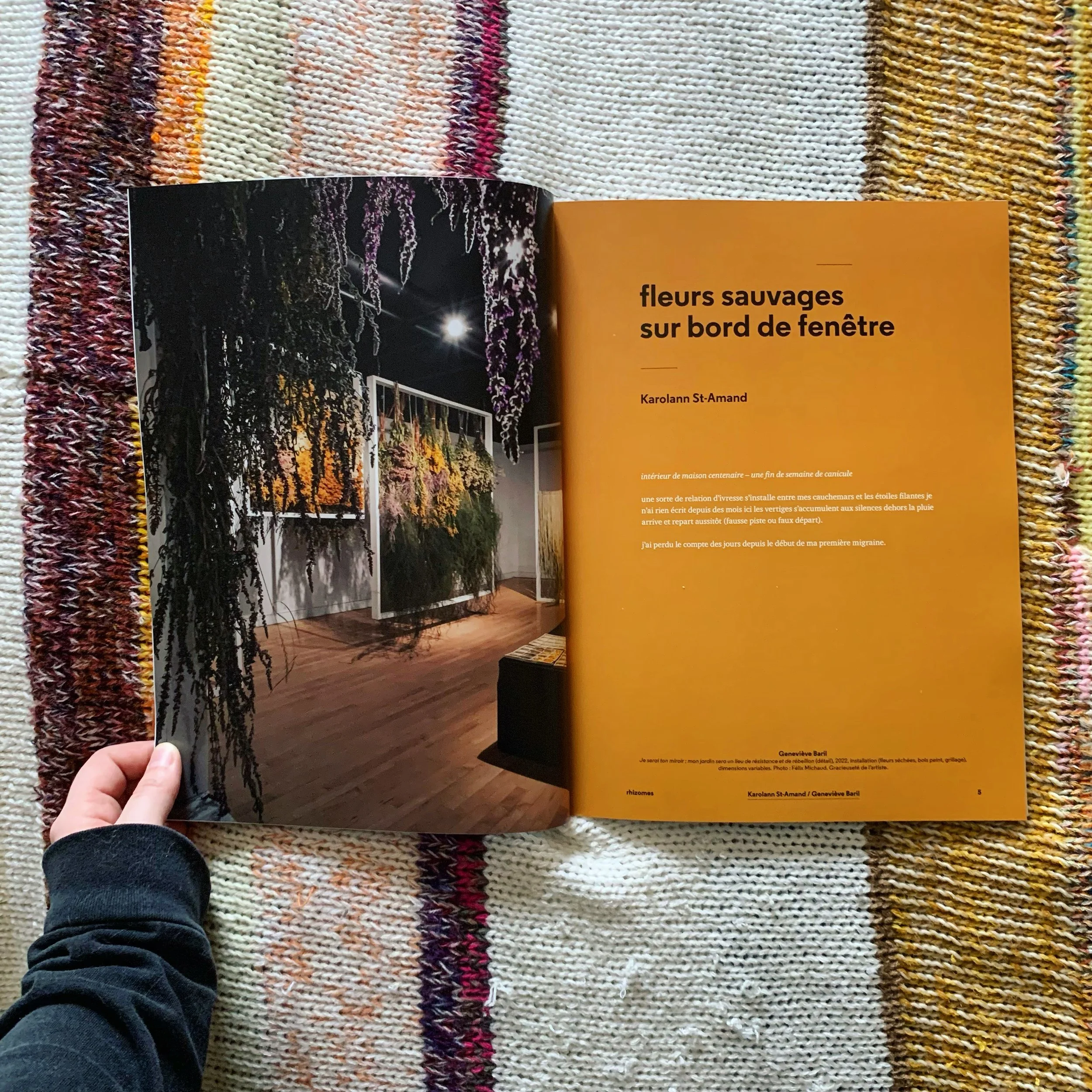 publications en revue