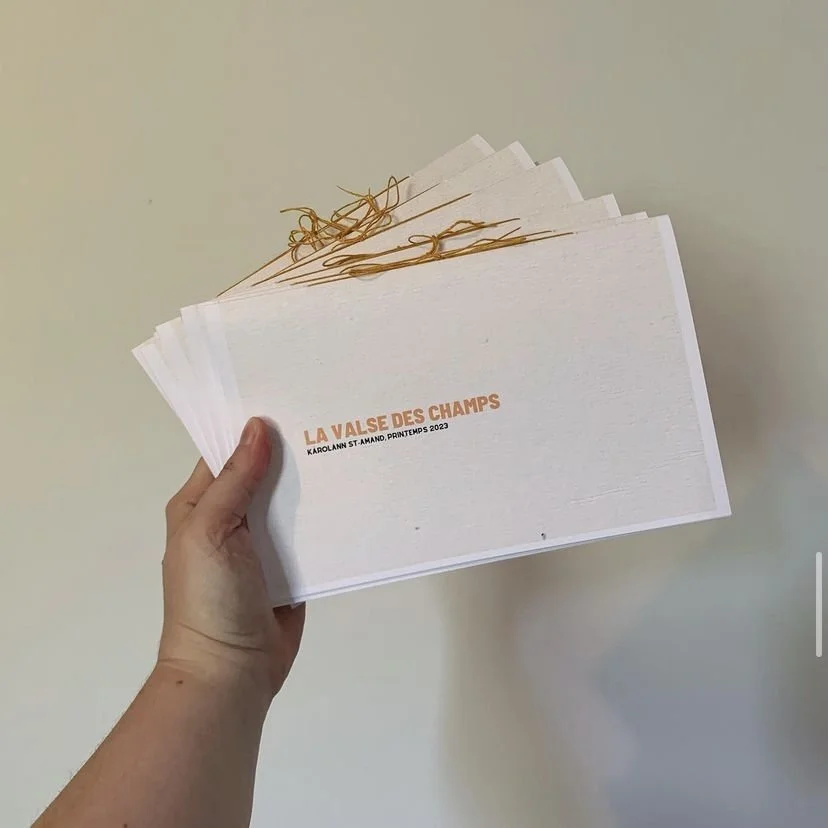 zine 04 - la valse des champs