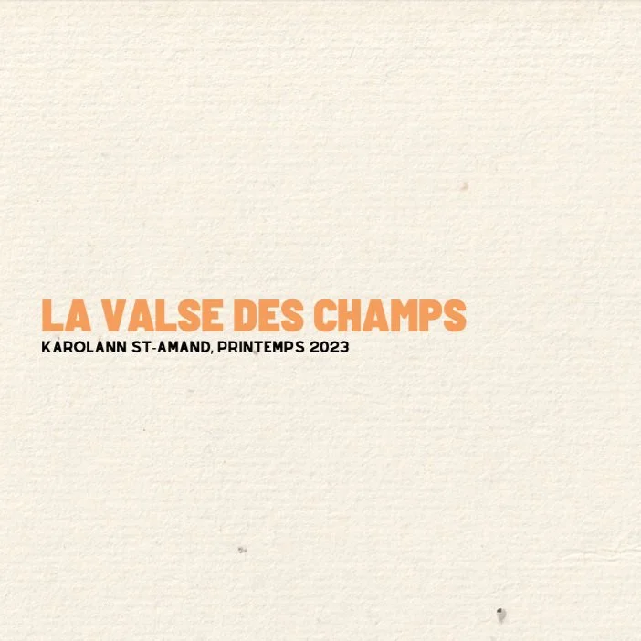zine 04 - la valse des champs