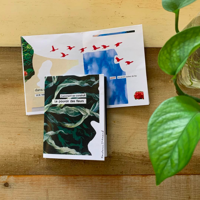 zine 06 - comment se construit le pouvoir des fleurs