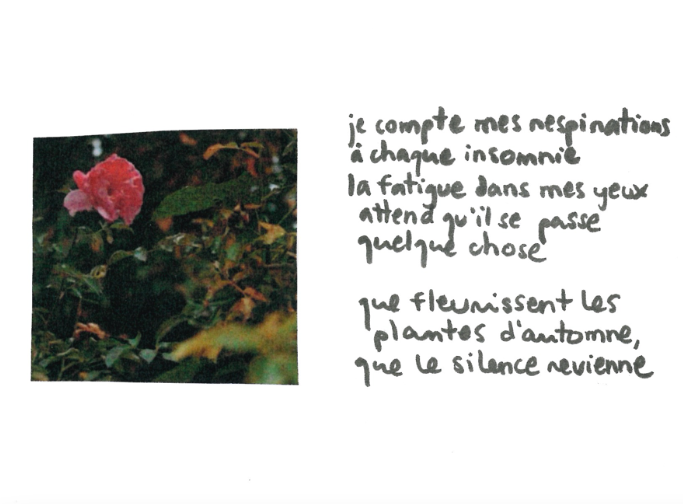 Capture d’écran, le 2023-09-09 à 13.25.59.png