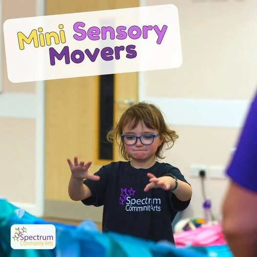 Mini Sensory Movers