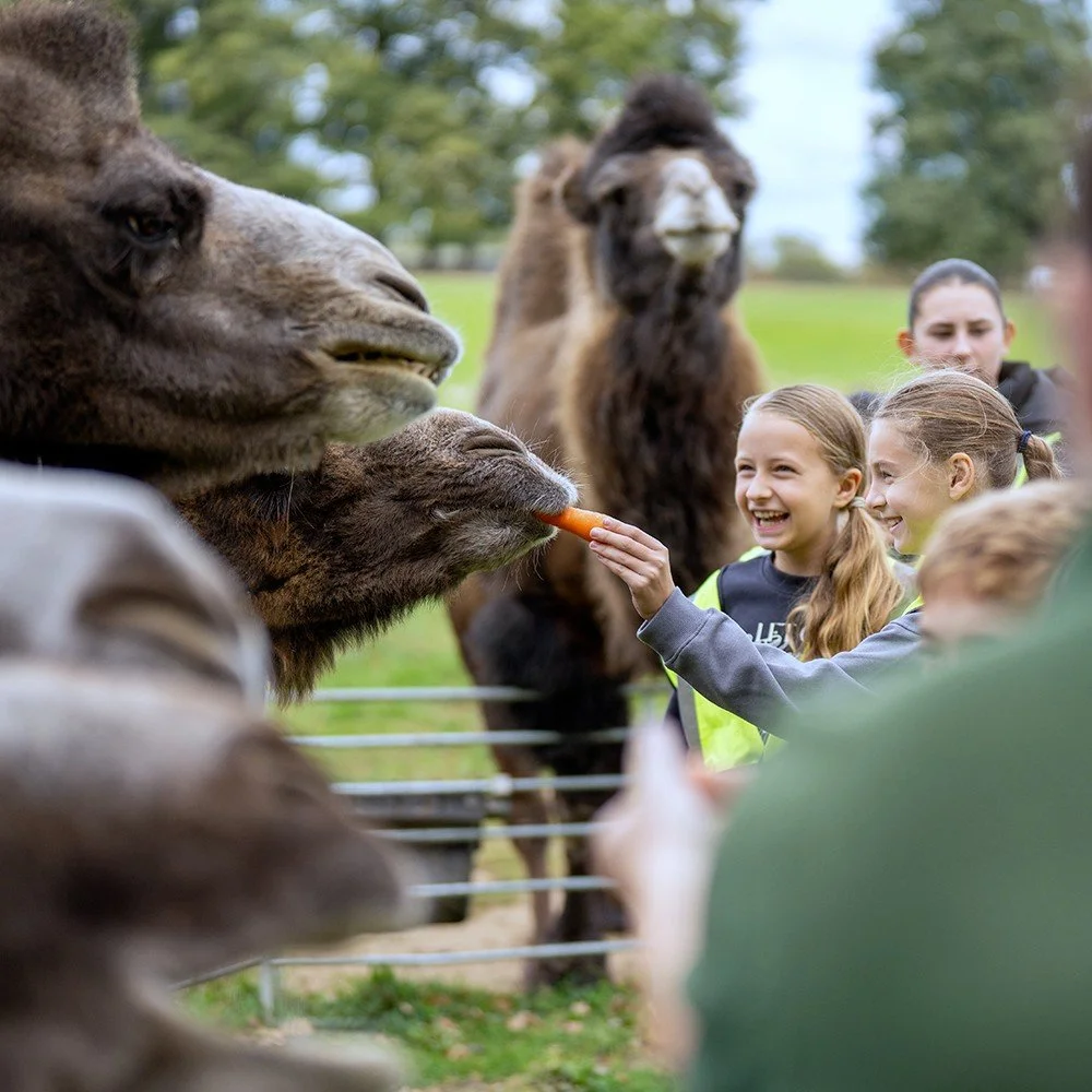 Woburn Safari Park- SEN Workshops