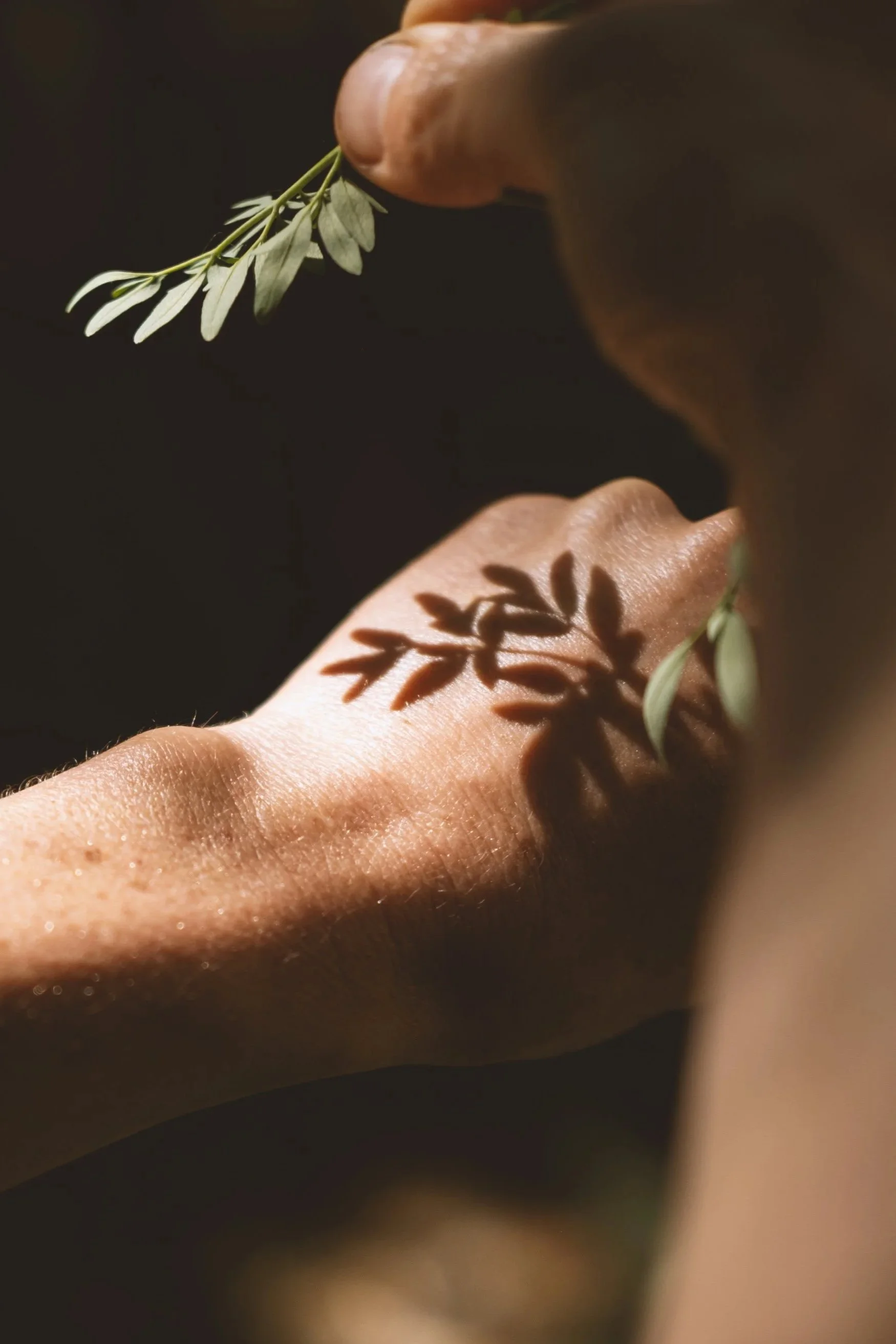 Camille Pelloux herboriste ombre feuilles peau jardin lumière filtrée photo art nature poétique plantes médicinales jardin botanique ombre végétale corps nature artiste lumière douce feuillage peau photo artistique sensible médicinal