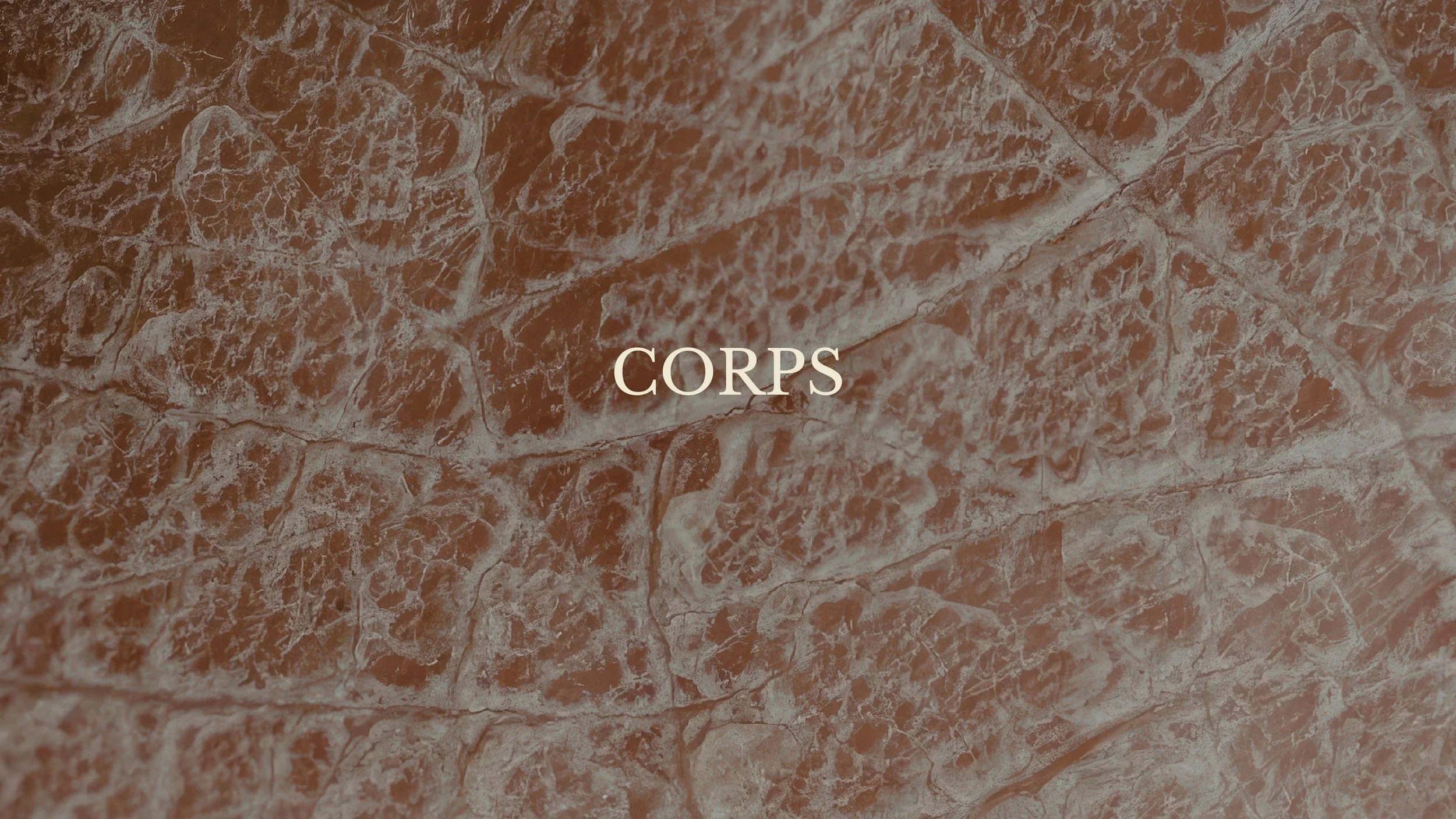 Une surface en marbre de couleur marron clair avec des veines blanches, représentant un mur en marbre, avec le mot 'CORPS' écrit en lettres blanches au centre.