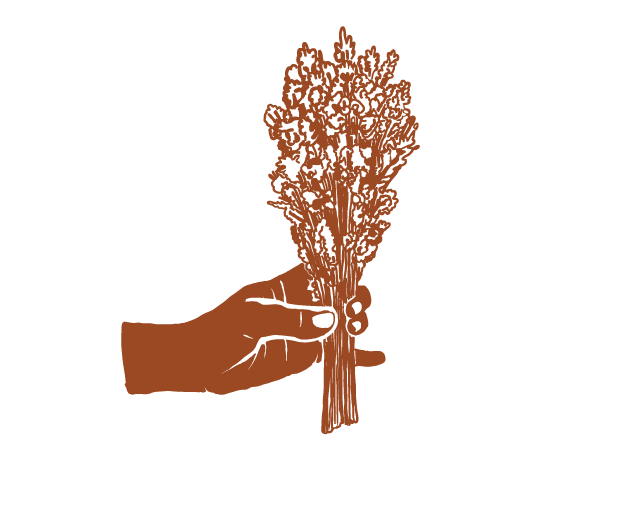 Rameaux de plante pour un nettoyage énergétique