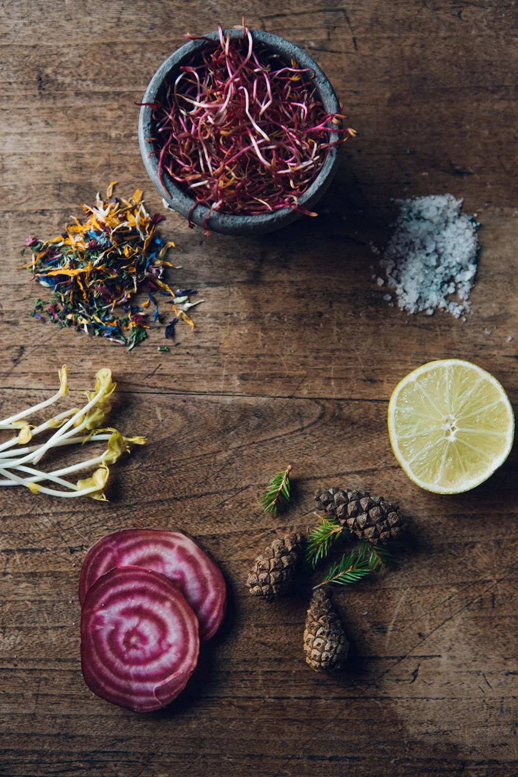 Déa Terra dea terra deaterra Camille Pelloux, formatrice stage retraite école en ligne naturopathie herboristerie transmission santé holistique traditionnelle européenne formation e-learning workshop écologie éco-responsabilité podcast santé plante