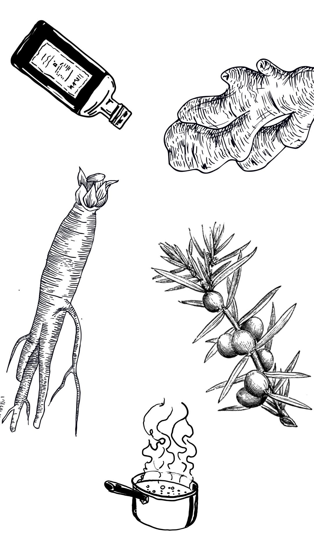 Déa Terra deaterra dea terra Camille Pelloux herboriste, formatrice stage retraite école en ligne naturopathie transmission santé holistique traditionnelle européenne formation e-learning workshop écologie éco-responsable podcast santé plante