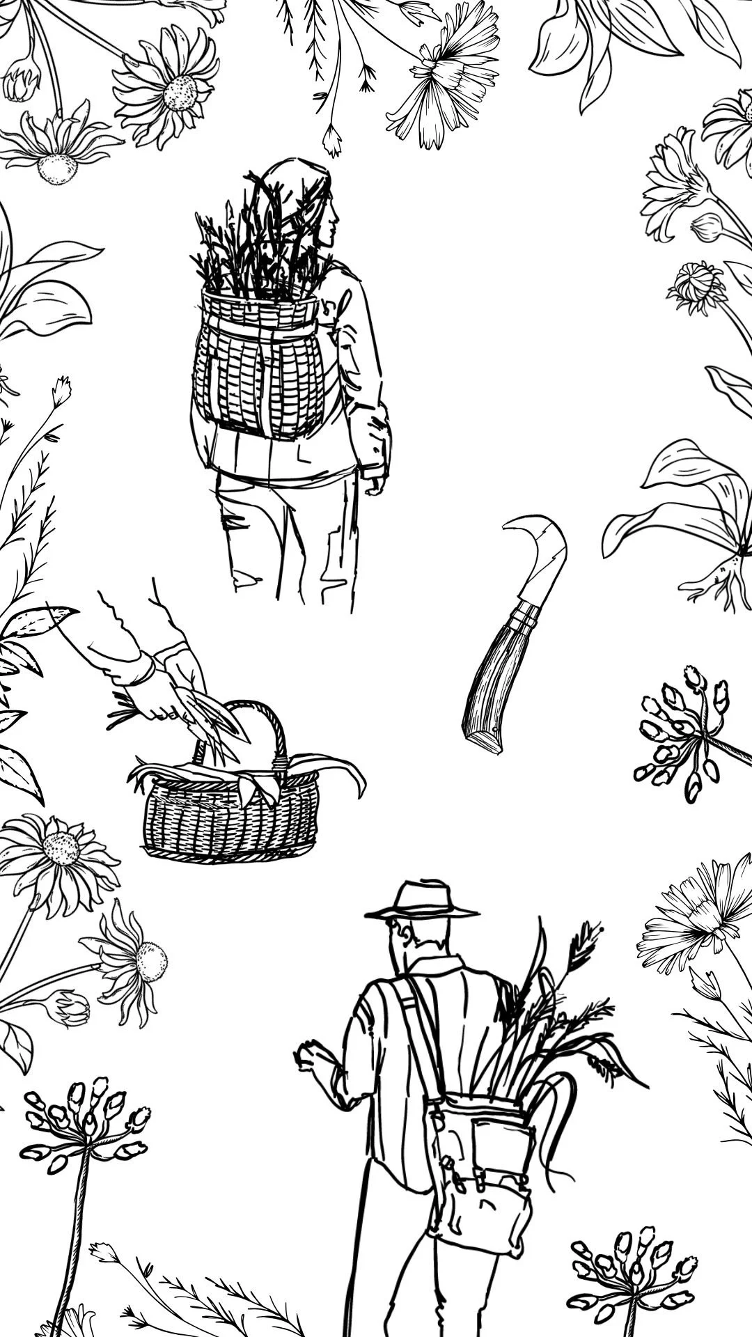 Déa Terra deaterra dea terra Camille Pelloux herboriste formatrice stage retraite école en ligne naturopathie transmission santé holistique traditionnelle européenne formation e-learning workshop écologie éco-responsable podcast santé plante