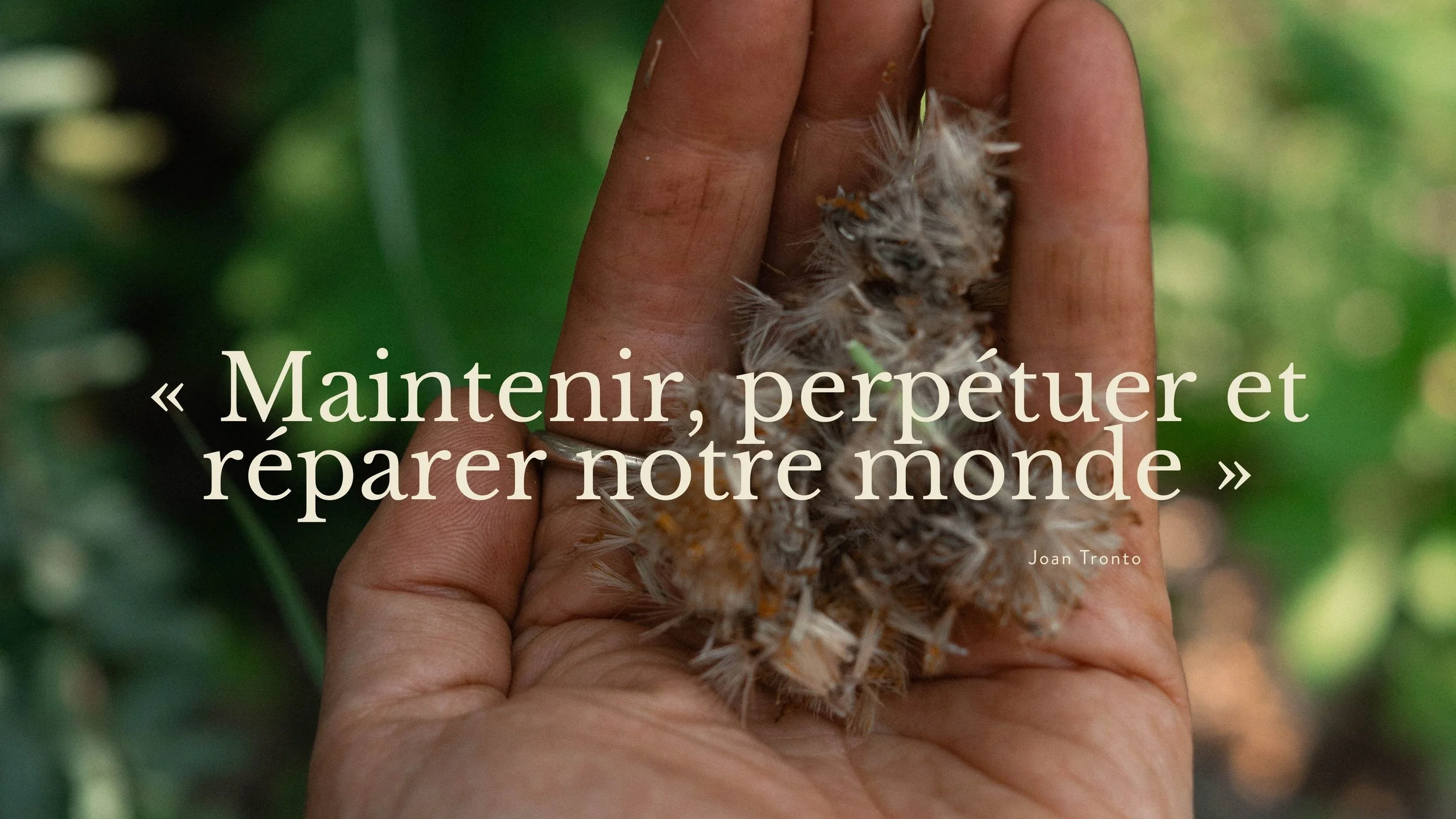 Une main tient un oiseau en piteux état, probablement blessé ou mourant, dans un environnement naturel avec de la végétation verte en arrière-plan.