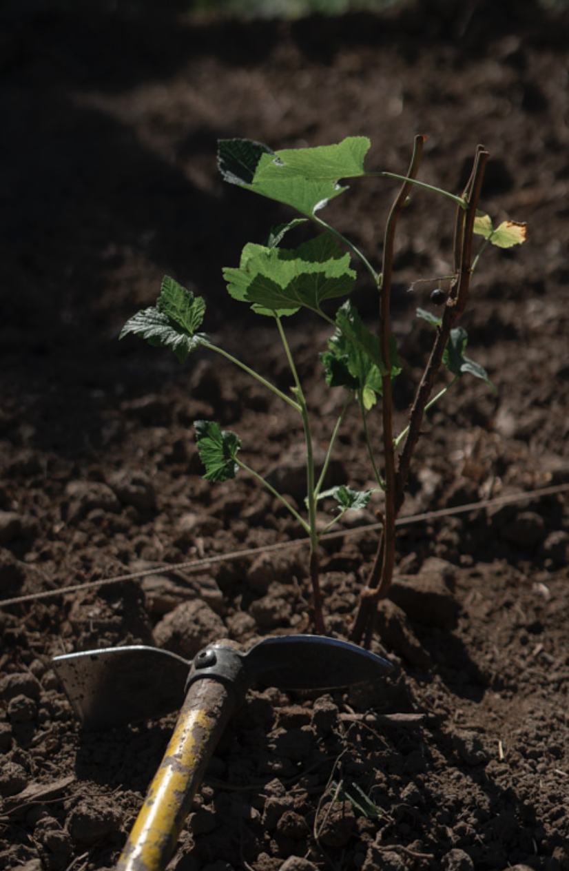 Captura de pantalla 2026-03-16 a la(s) 19.14.42.png