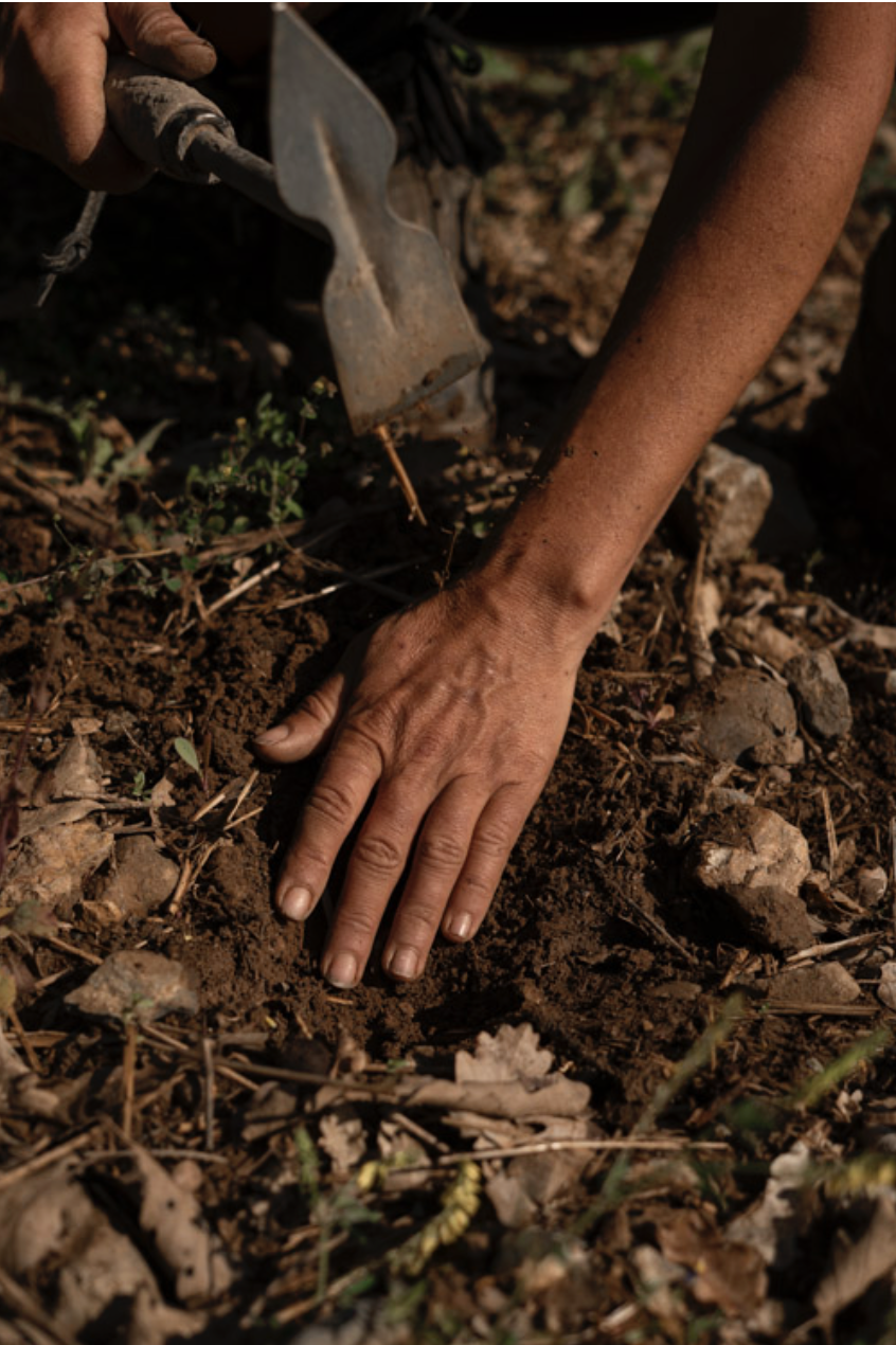 Captura de pantalla 2026-03-16 a la(s) 19.12.12.png