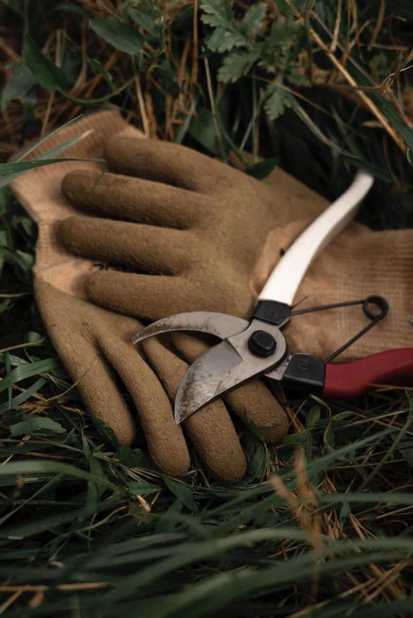 Captura de pantalla 2026-03-16 a la(s) 19.15.24.png